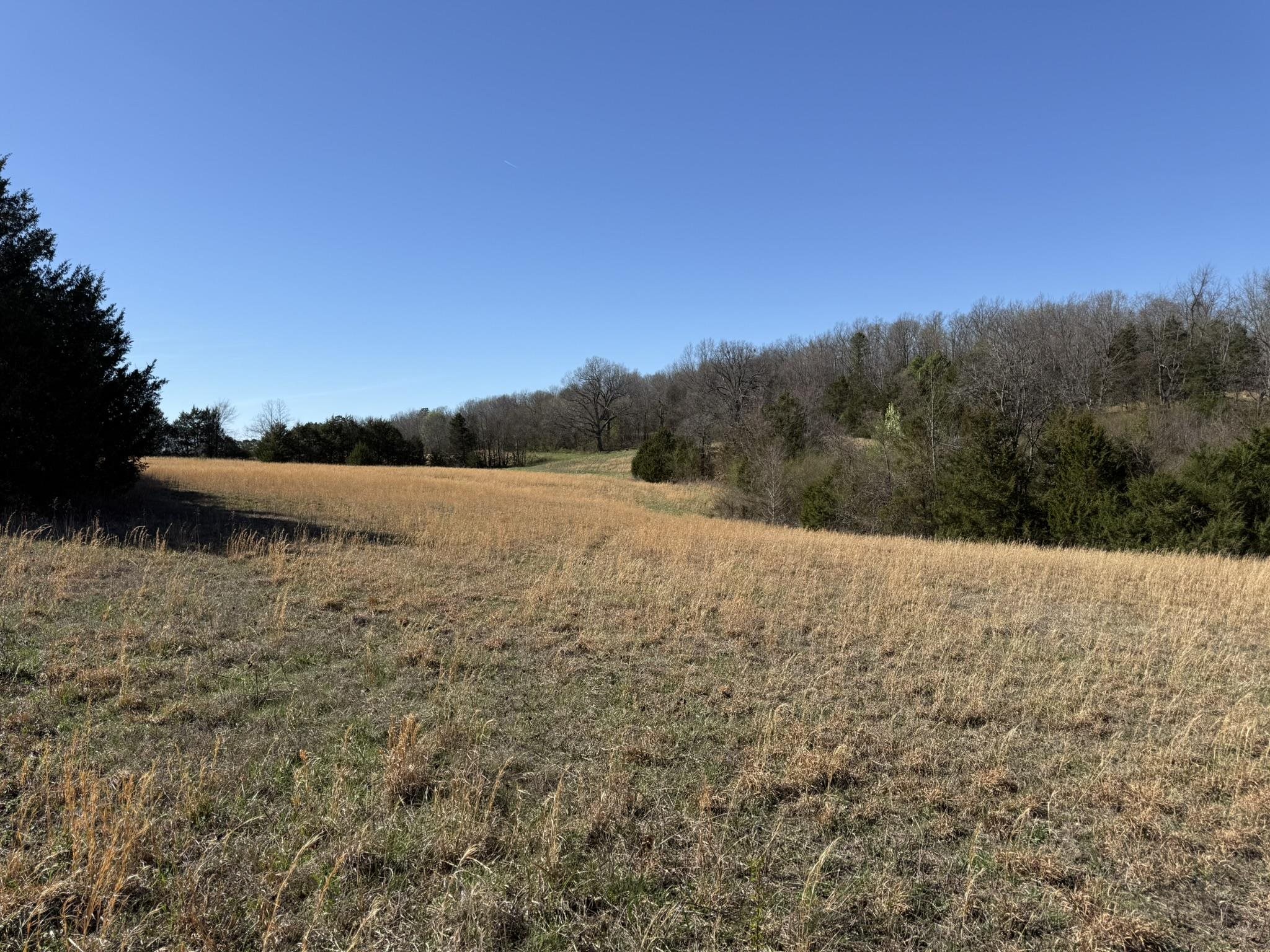 Photo 10 - Vacant Land for sale – 20B  Highway 58 East   Melbourne, AR