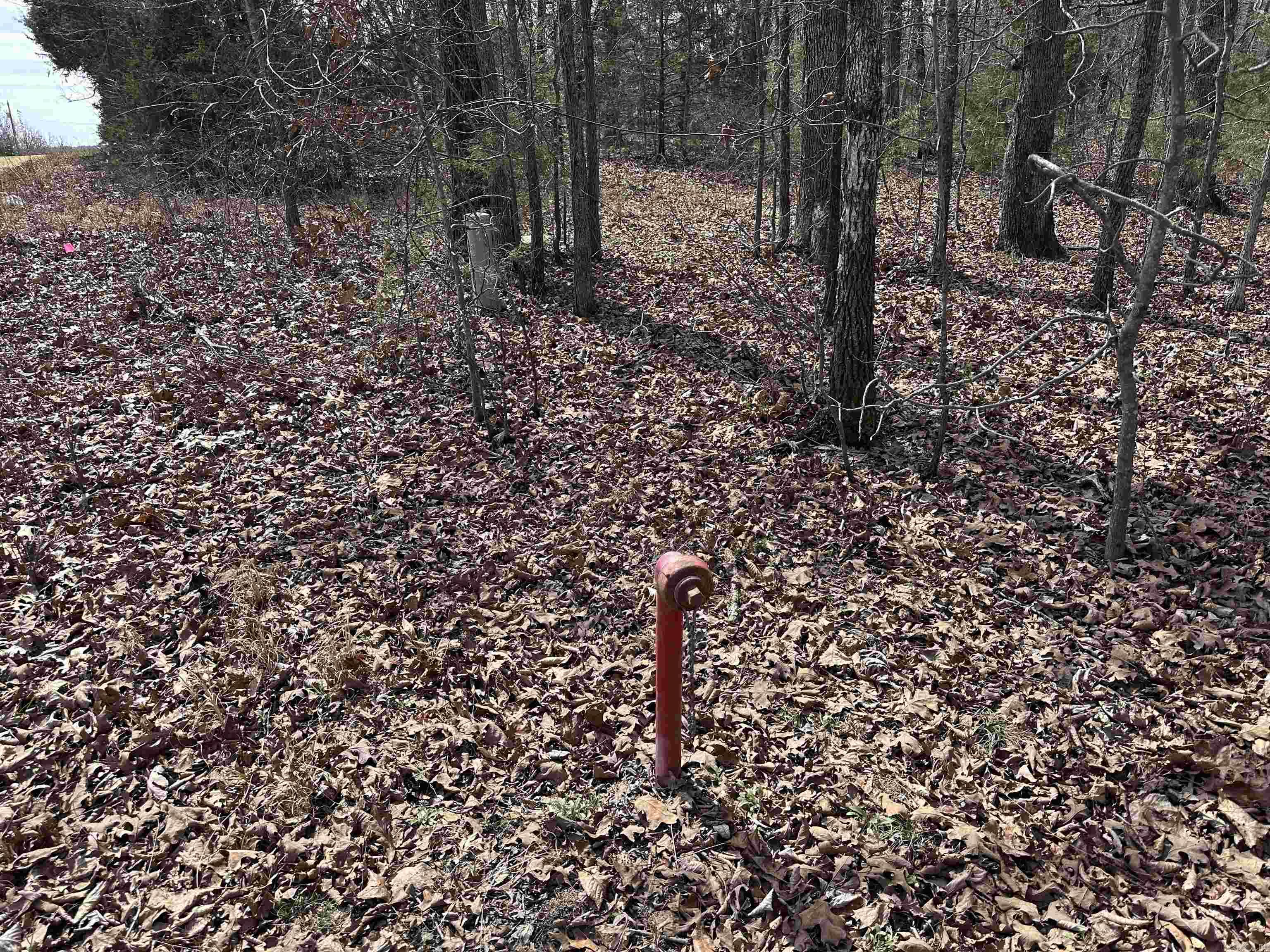 Photo 2 - Vacant Land for sale –   Claxton Rd   Ash Flat, AR