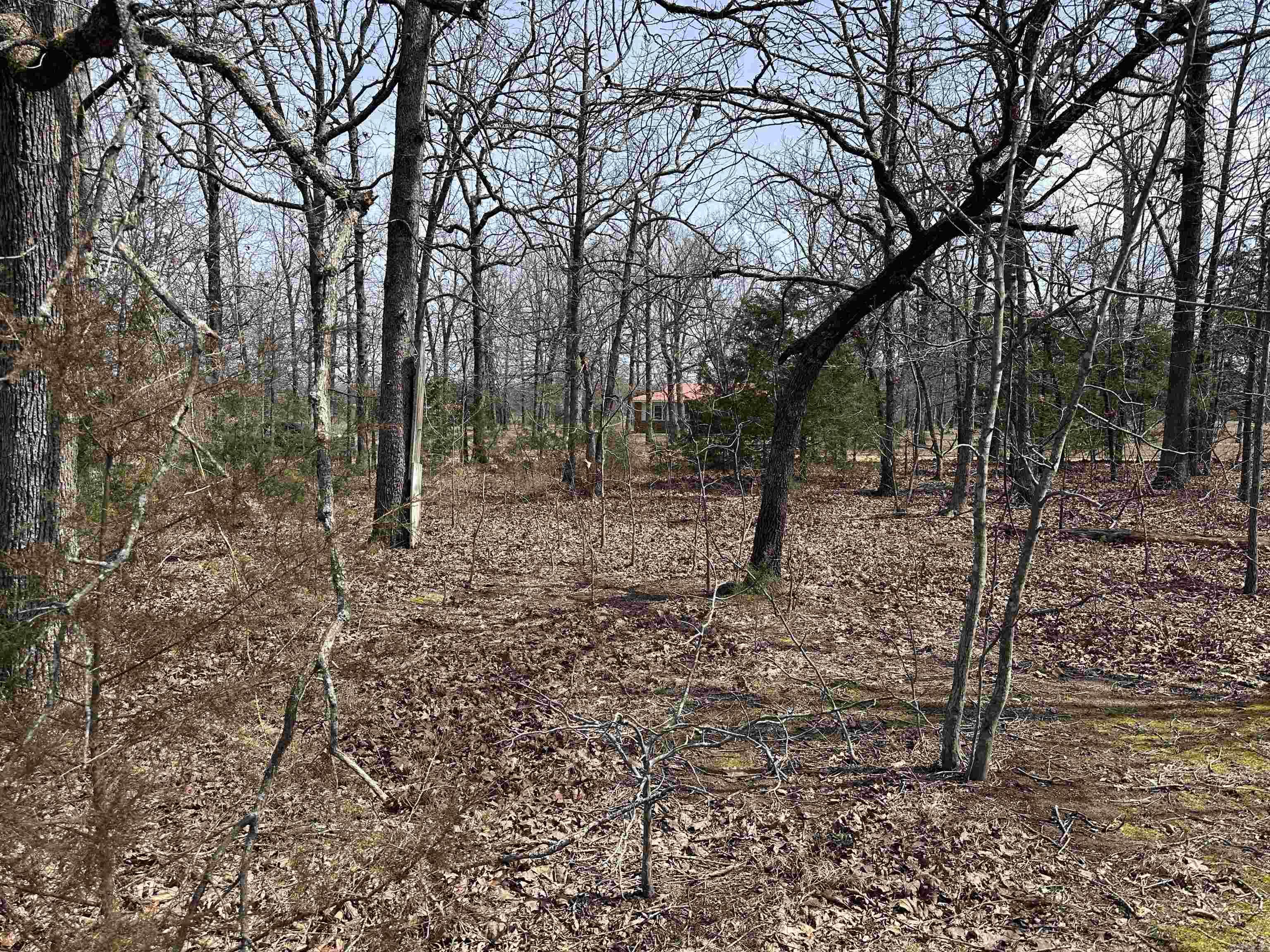 Photo 11 - Vacant Land for sale –   Claxton Rd   Ash Flat, AR