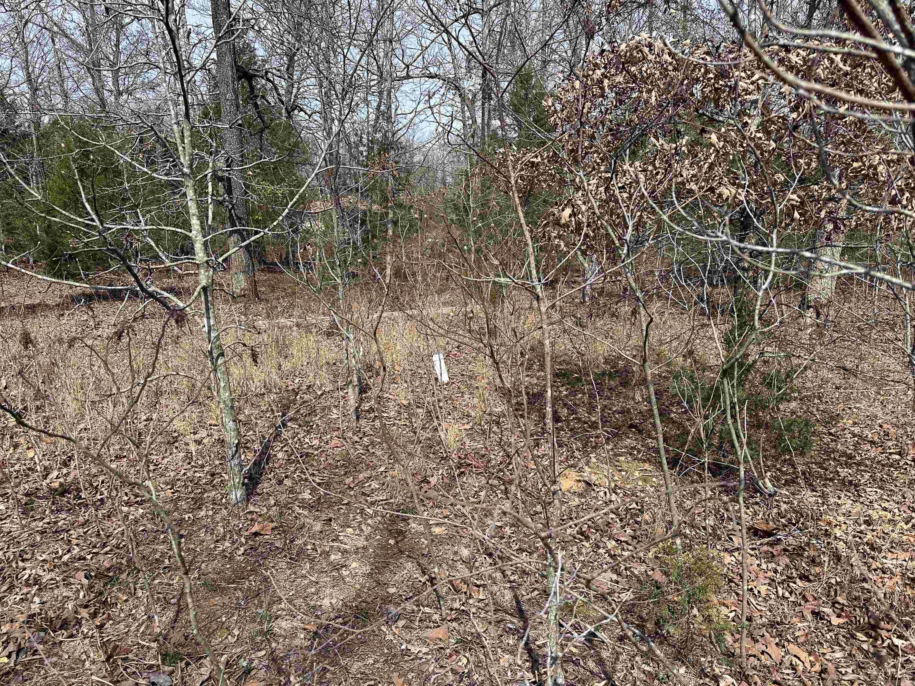 Photo 12 - Vacant Land for sale –   Claxton Rd   Ash Flat, AR