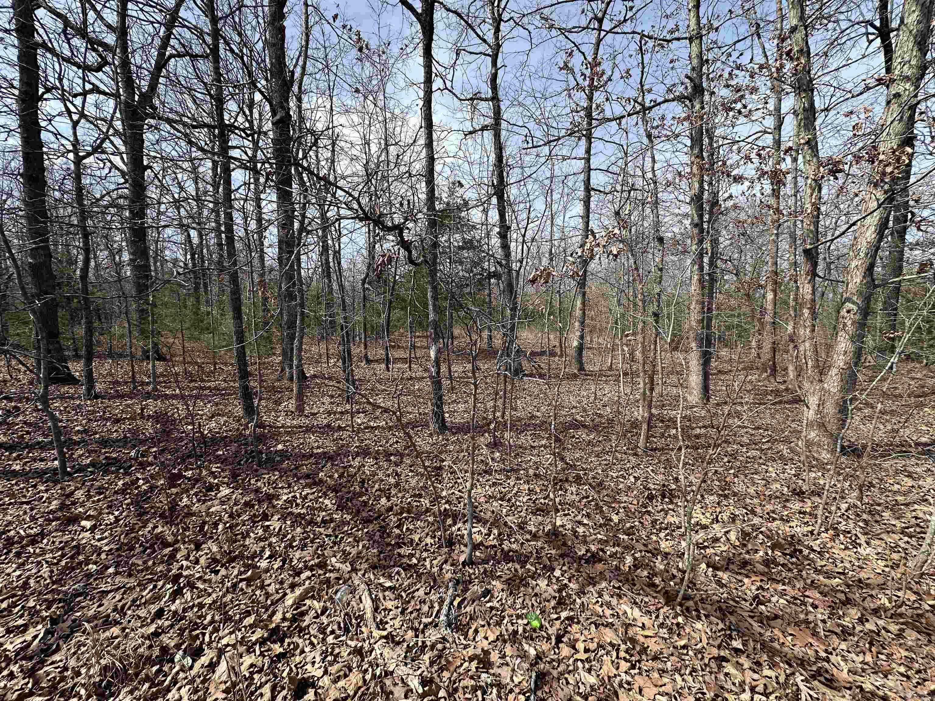 Photo 13 - Vacant Land for sale –   Claxton Rd   Ash Flat, AR