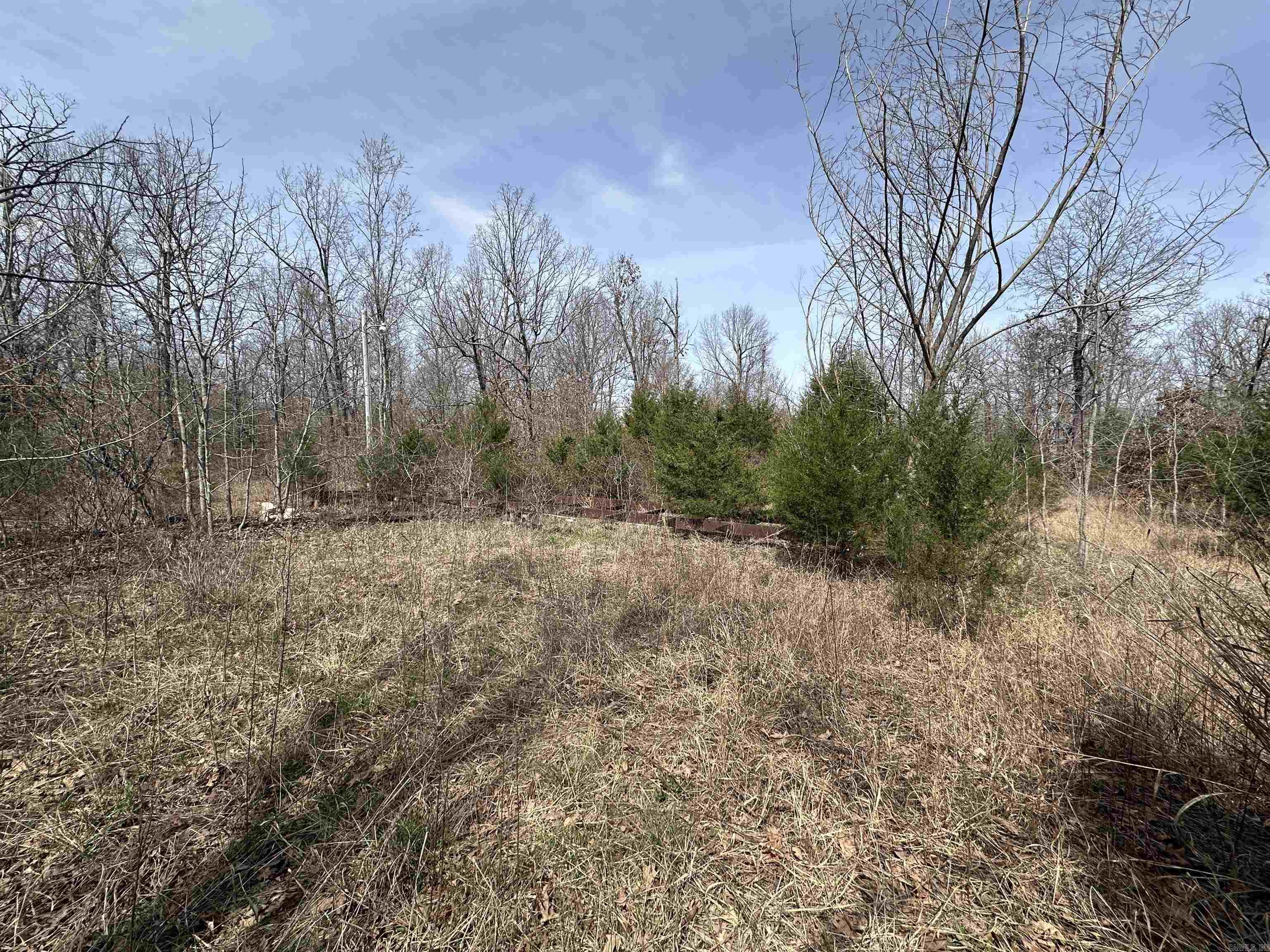 Photo 15 - Vacant Land for sale –   Claxton Rd   Ash Flat, AR