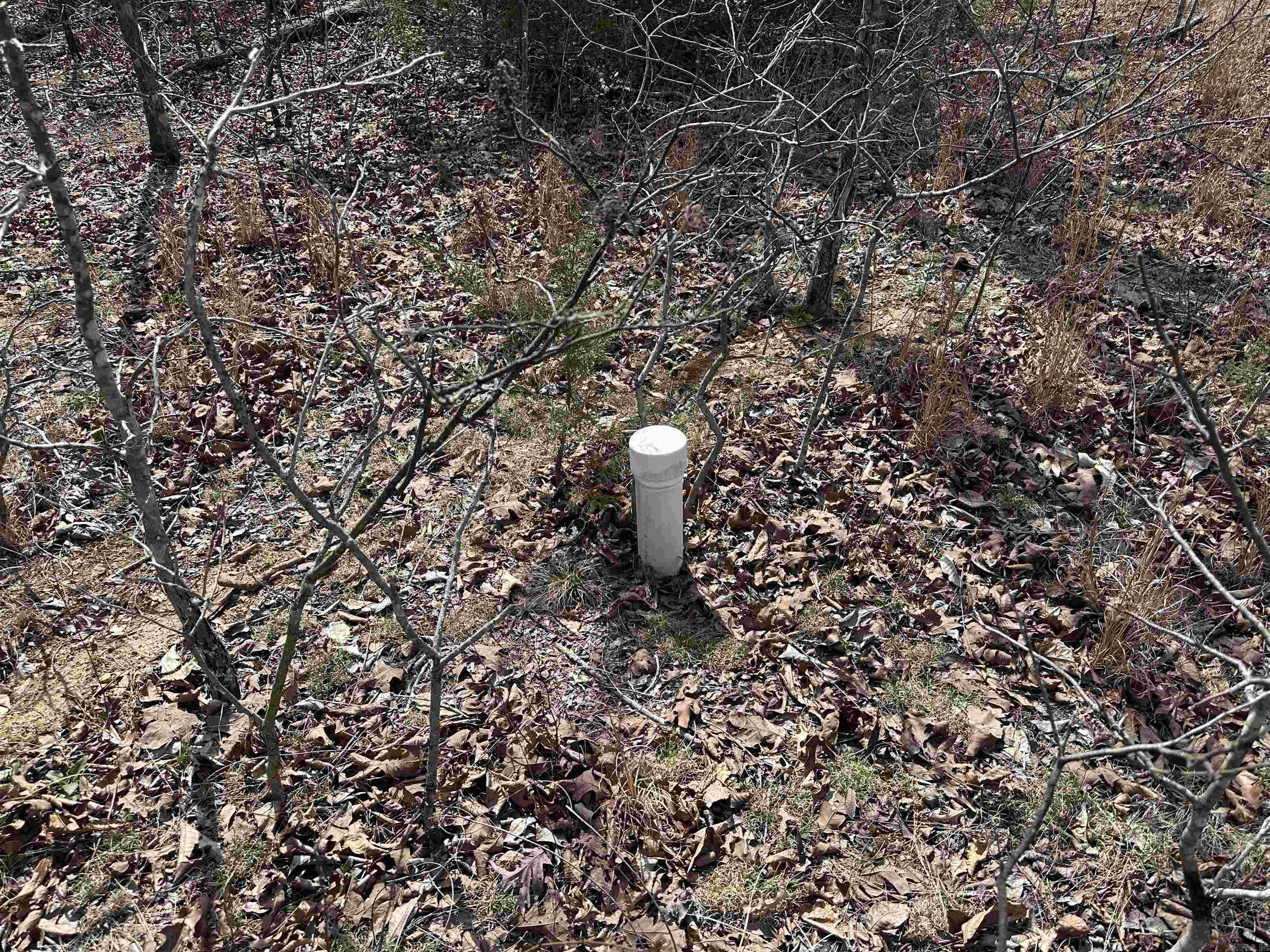 Photo 3 - Vacant Land for sale –   Claxton Rd   Ash Flat, AR