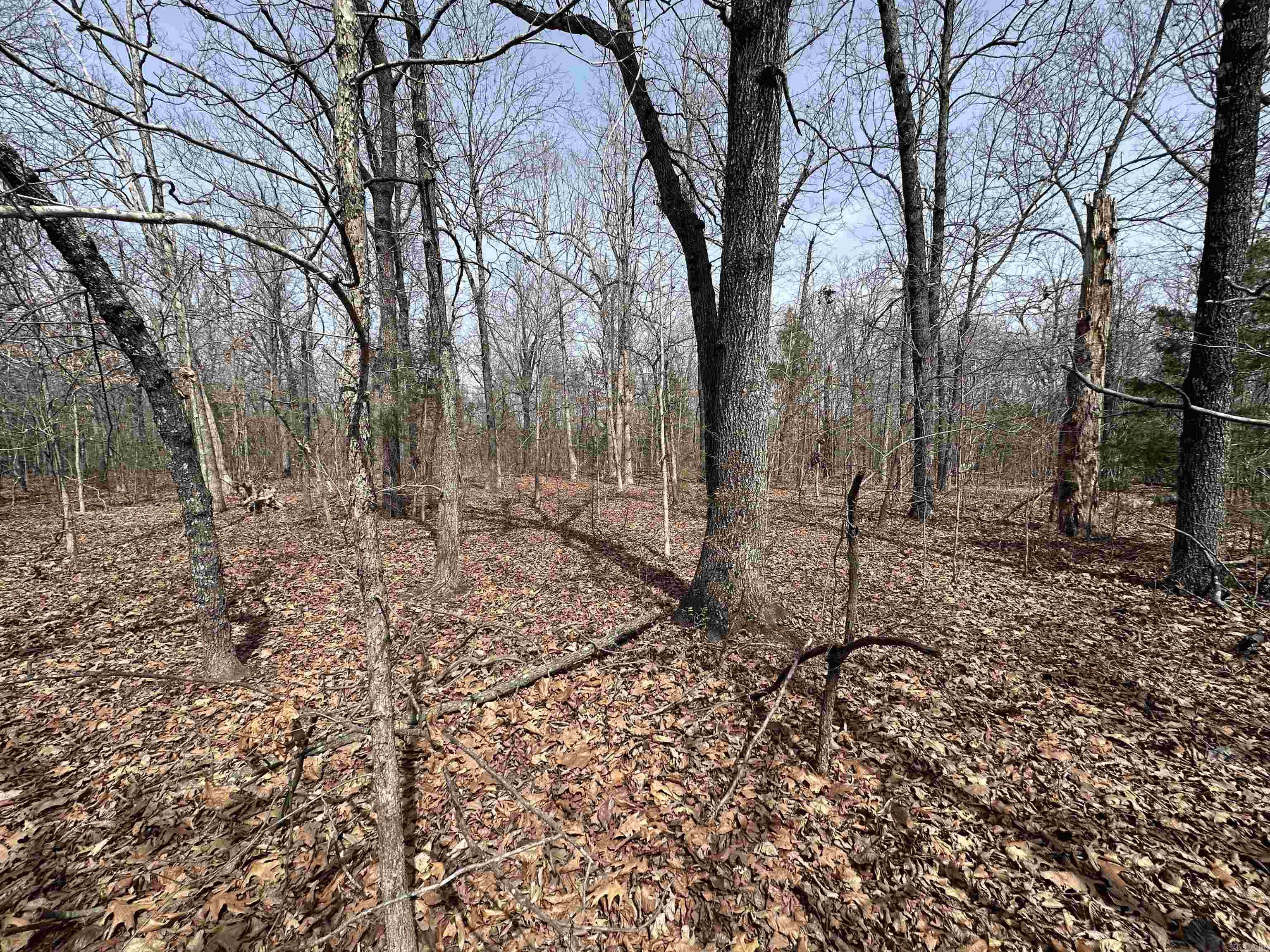 Photo 4 - Vacant Land for sale –   Claxton Rd   Ash Flat, AR