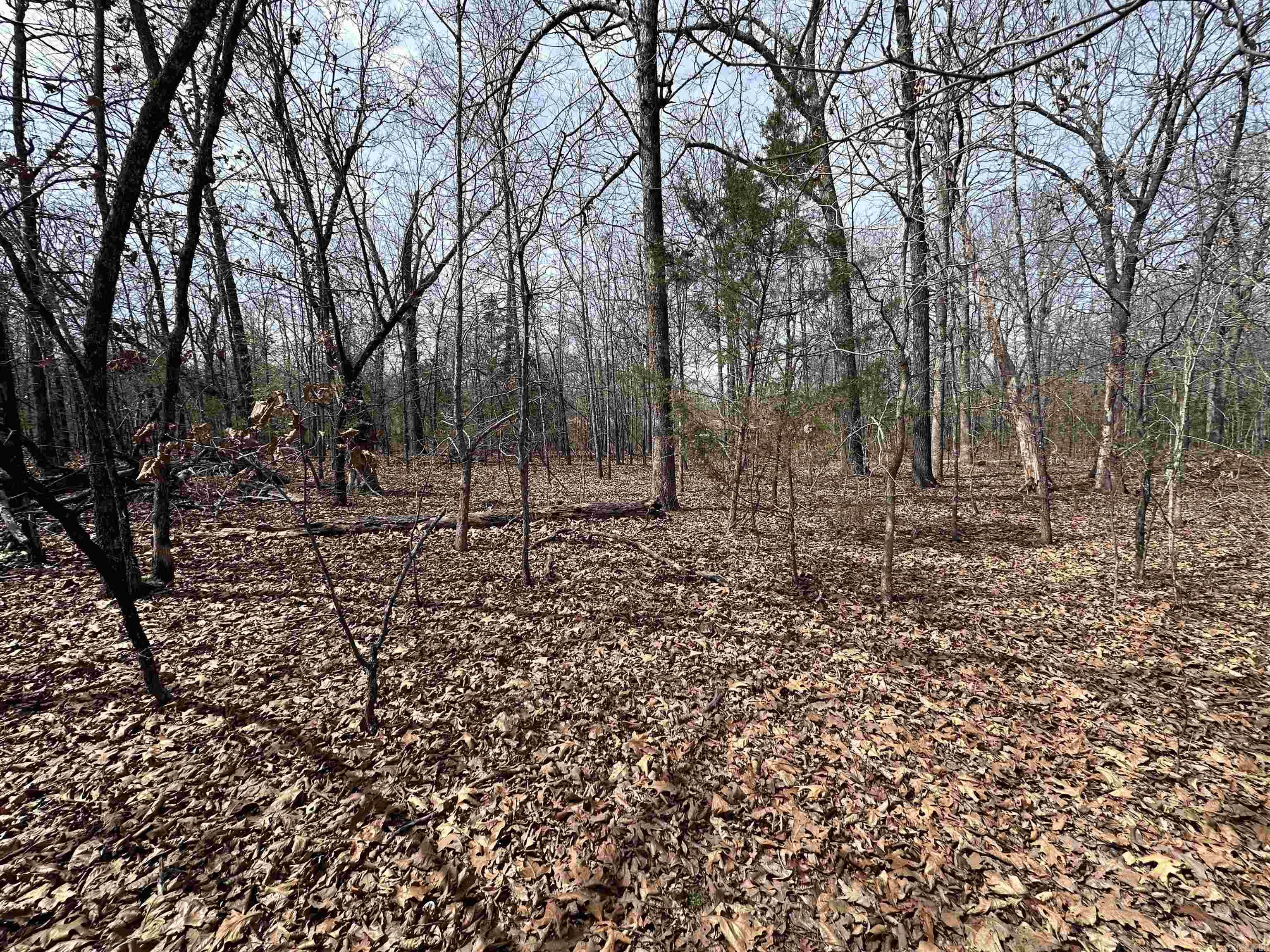 Photo 6 - Vacant Land for sale –   Claxton Rd   Ash Flat, AR