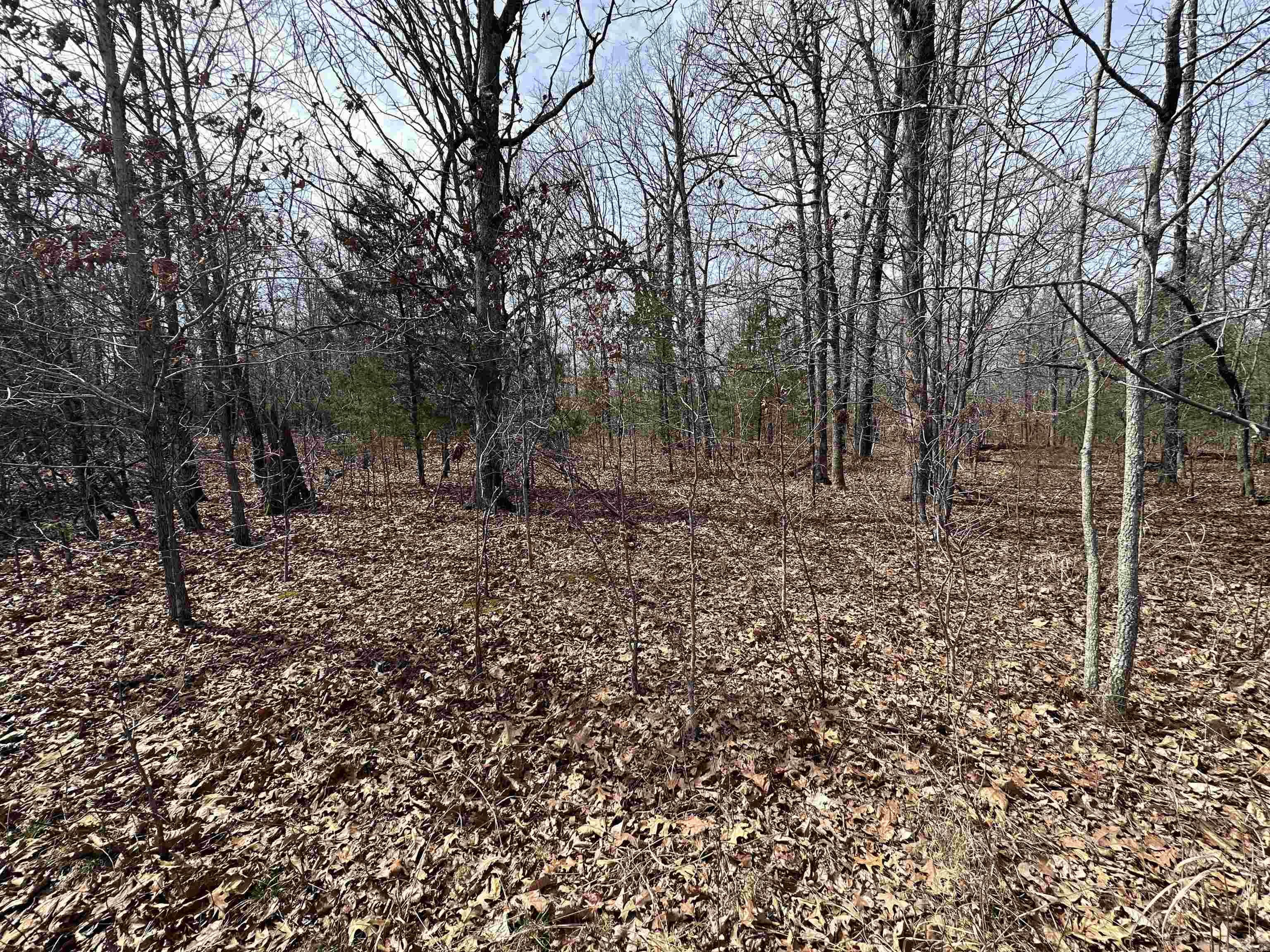 Photo 7 - Vacant Land for sale –   Claxton Rd   Ash Flat, AR