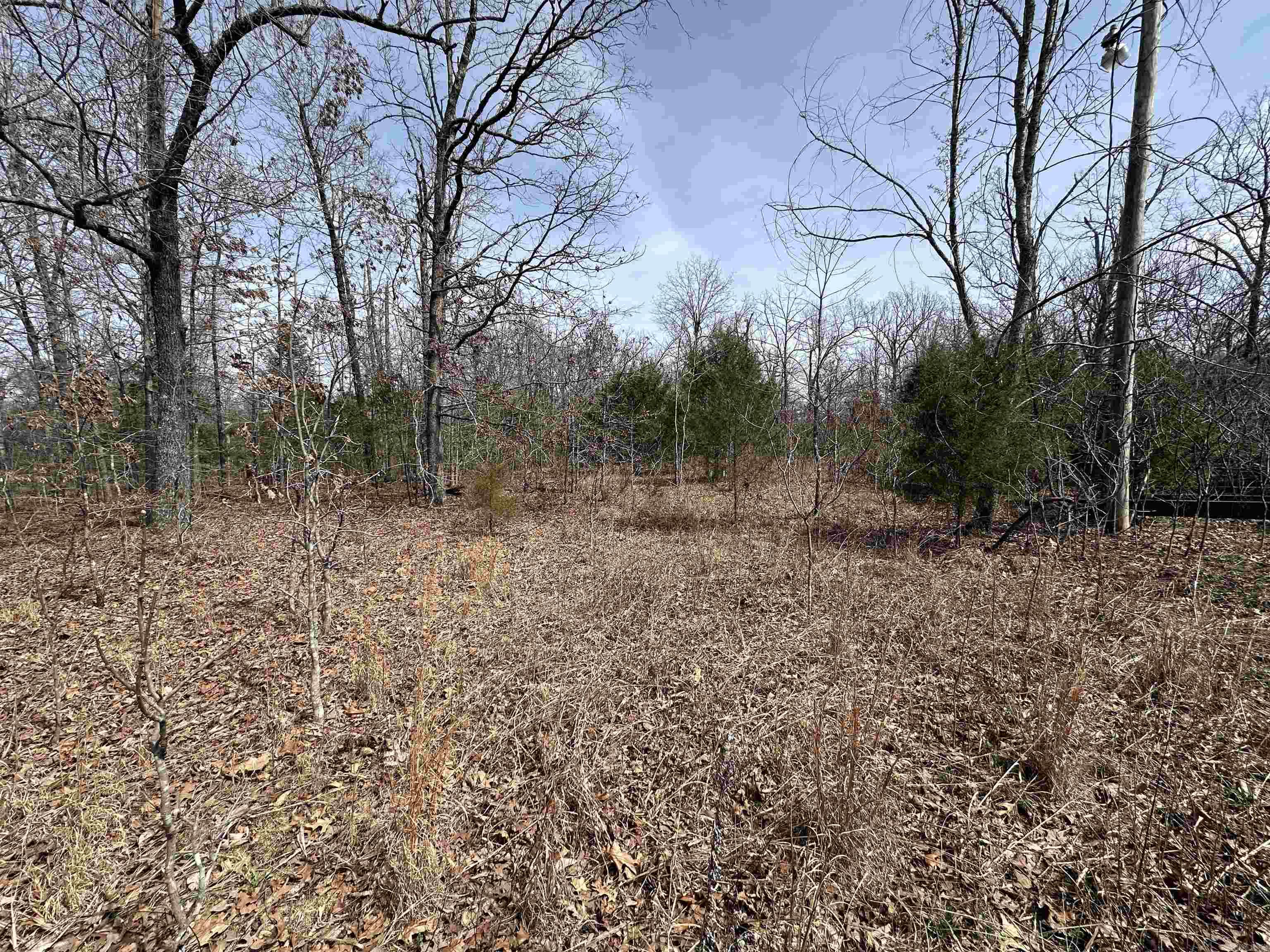 Photo 8 - Vacant Land for sale –   Claxton Rd   Ash Flat, AR