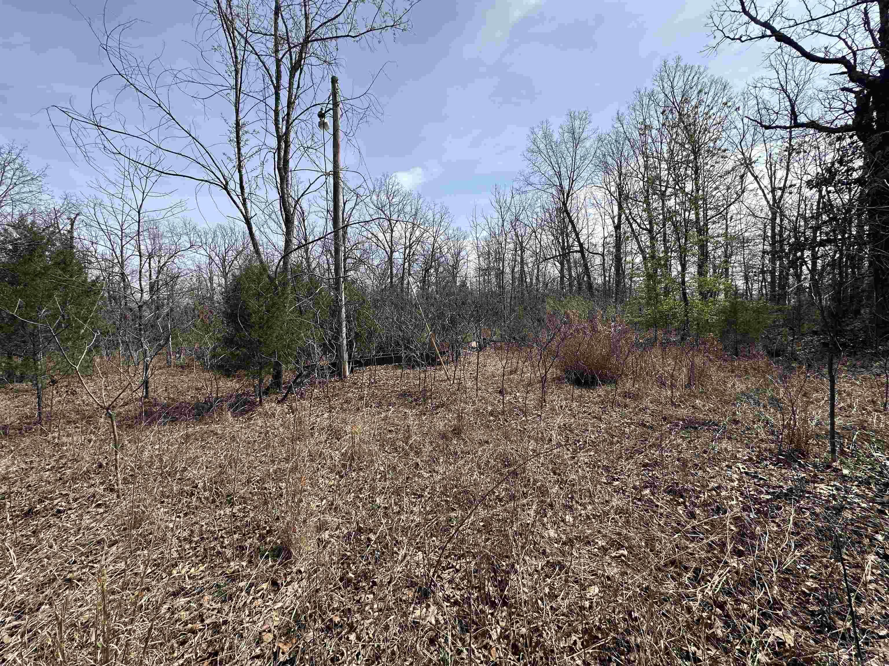Photo 9 - Vacant Land for sale –   Claxton Rd   Ash Flat, AR