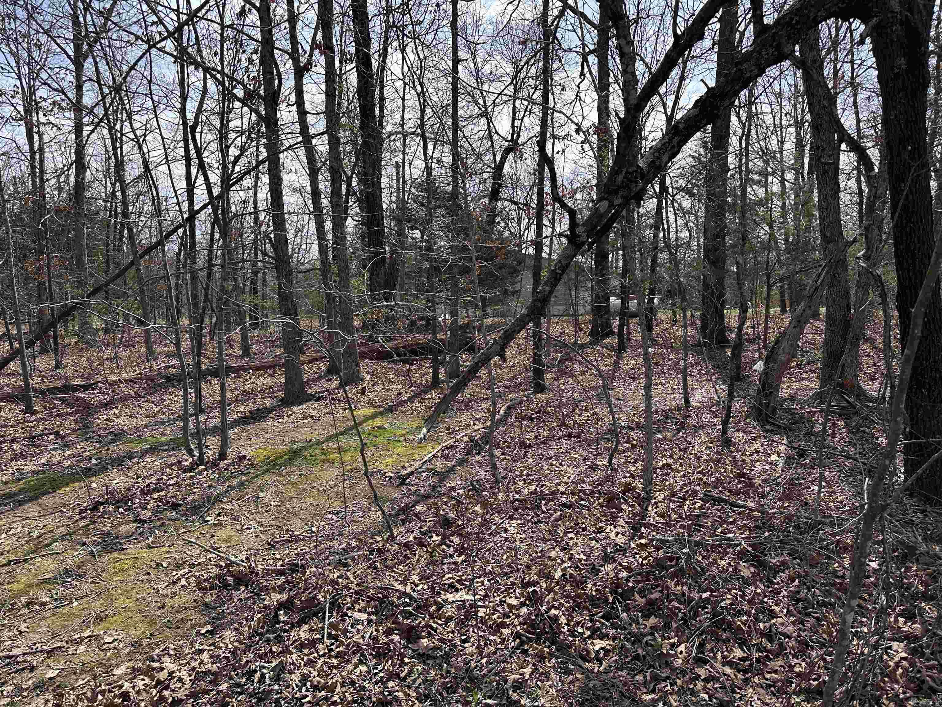 Photo 10 - Vacant Land for sale –   Claxton Rd   Ash Flat, AR