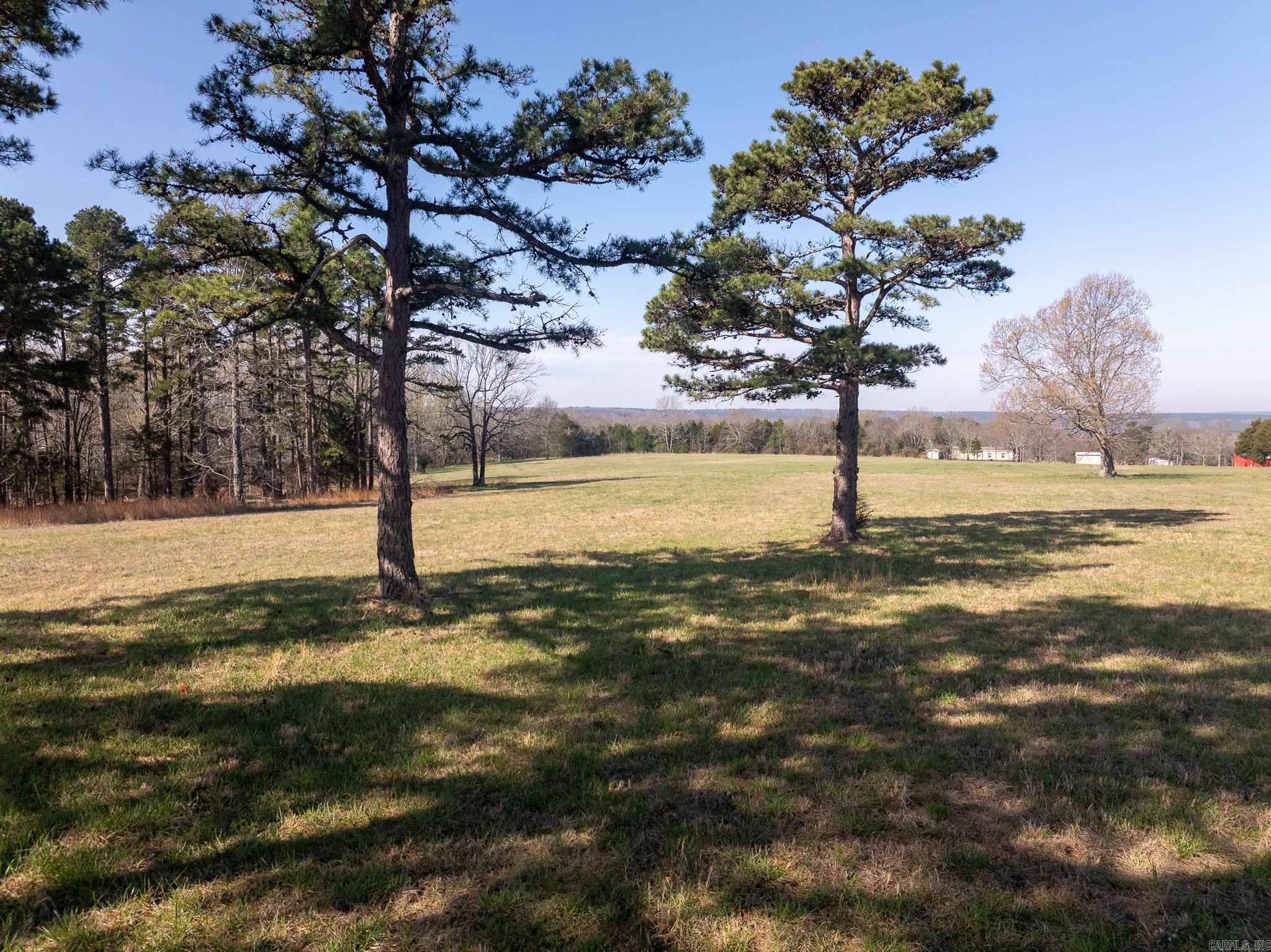 Photo 2 - Vacant Land for sale – 000  Thida   Thida, AR