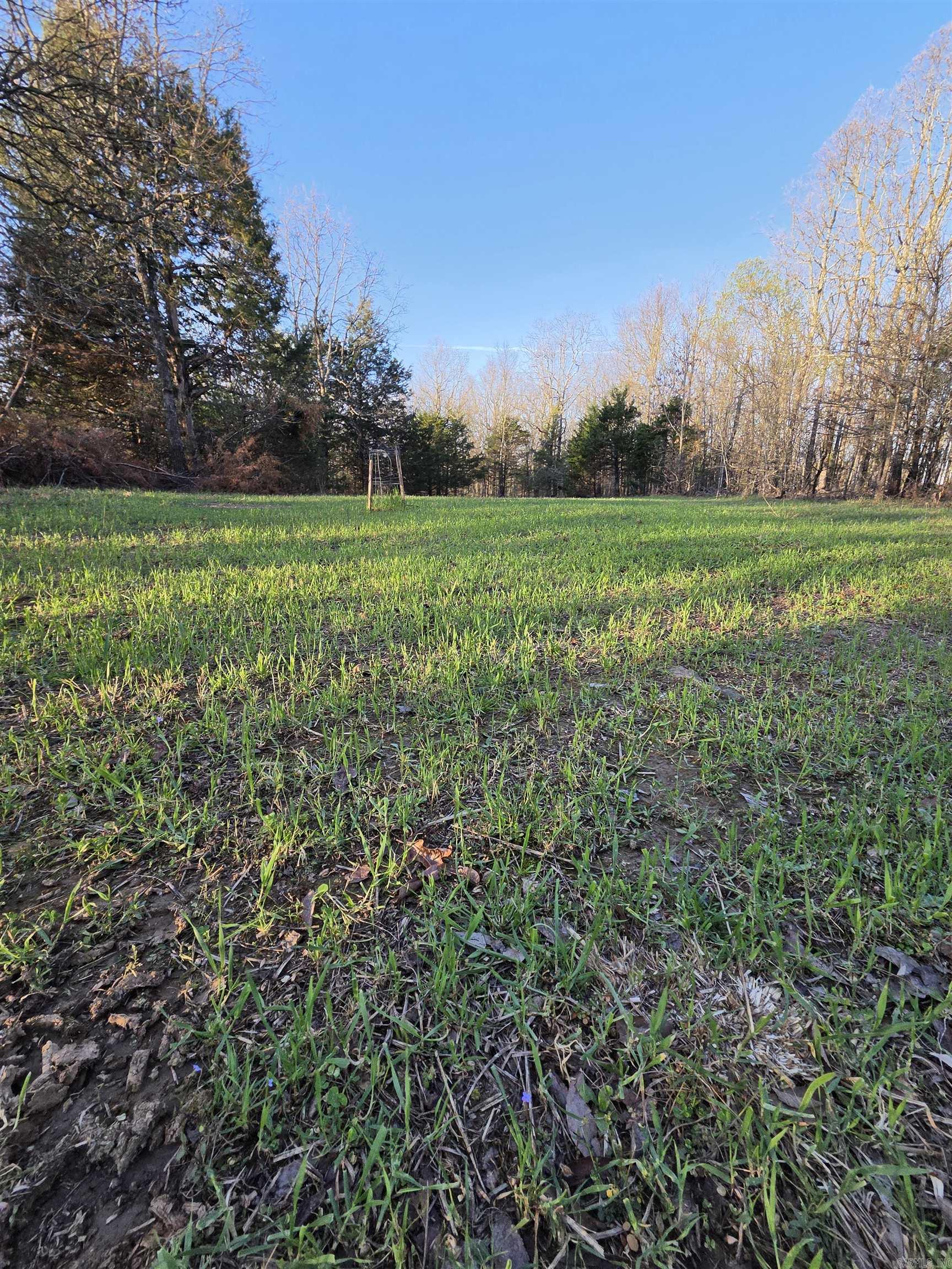 Photo 11 - Vacant Land for sale – 000  Thida   Thida, AR