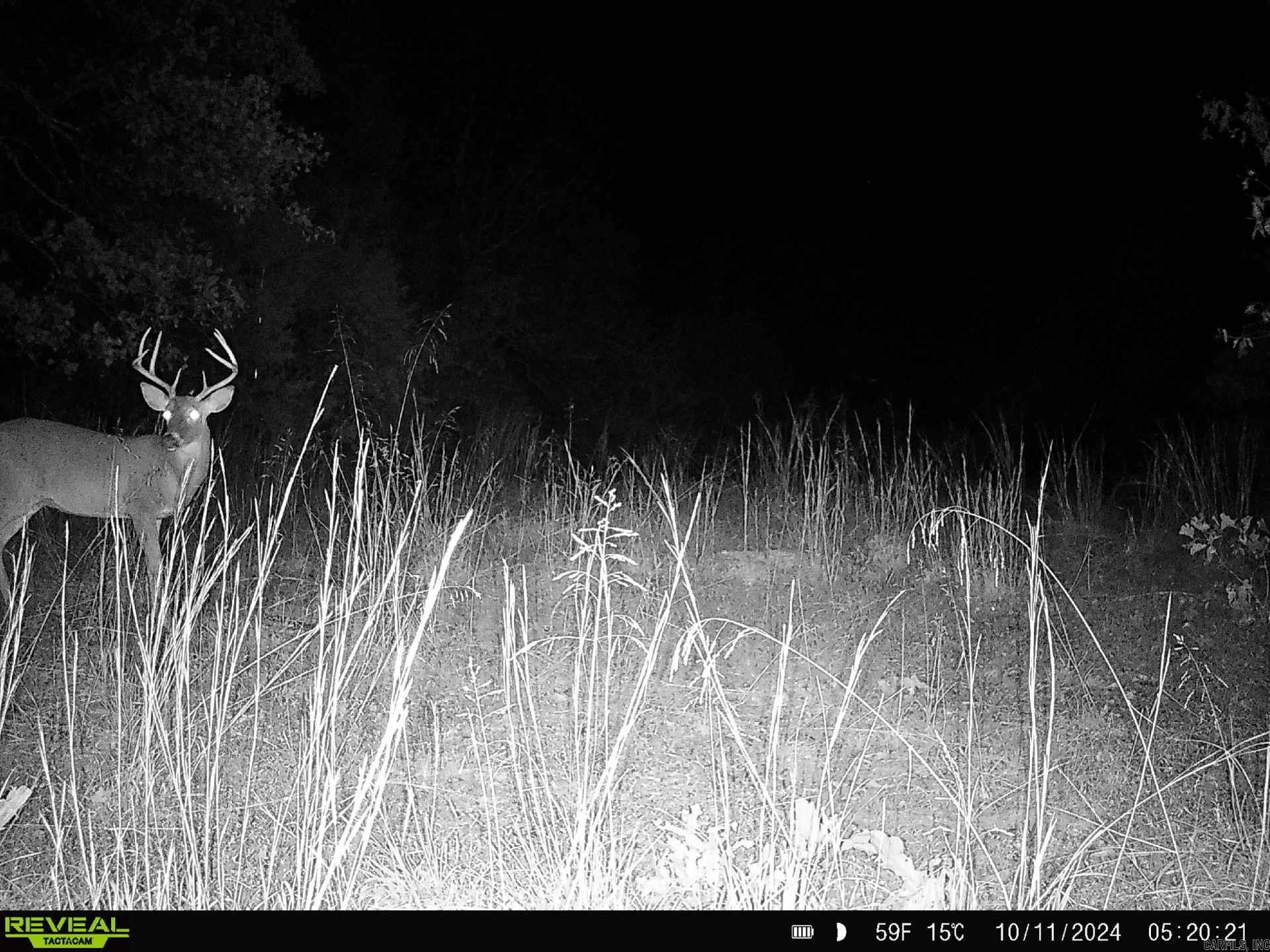 Photo 12 - Vacant Land for sale – 000  Thida   Thida, AR