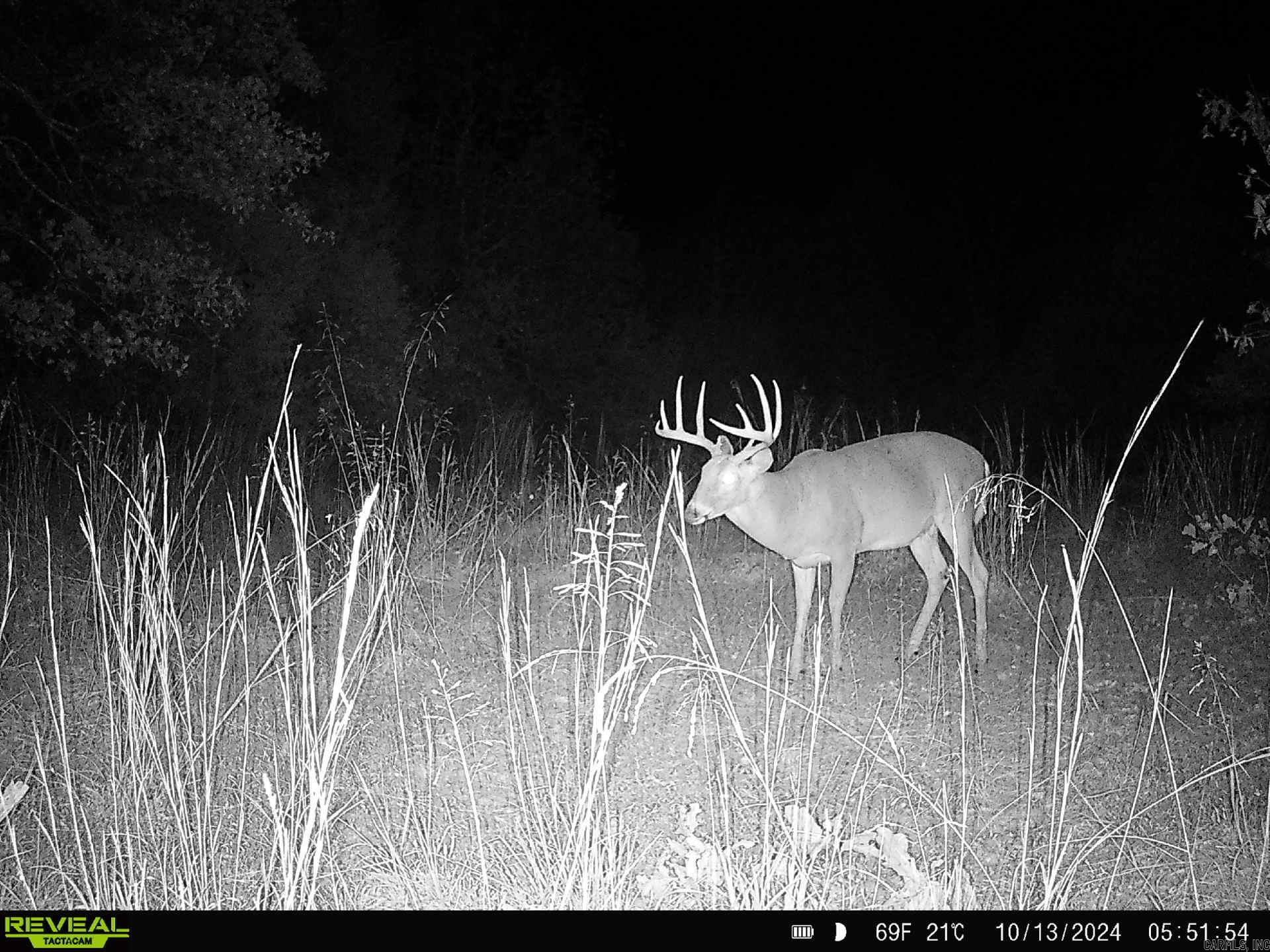 Photo 14 - Vacant Land for sale – 000  Thida   Thida, AR