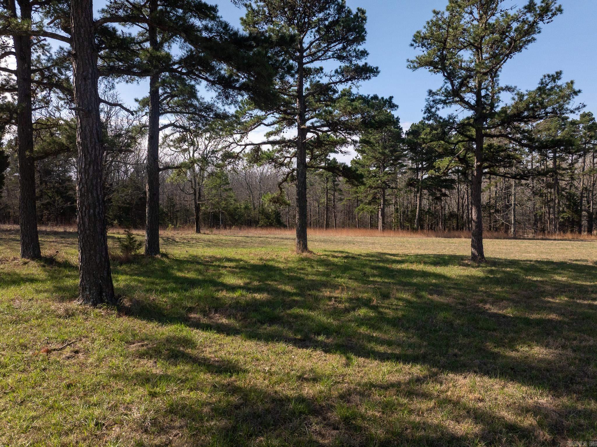 Photo 16 - Vacant Land for sale – 000  Thida   Thida, AR