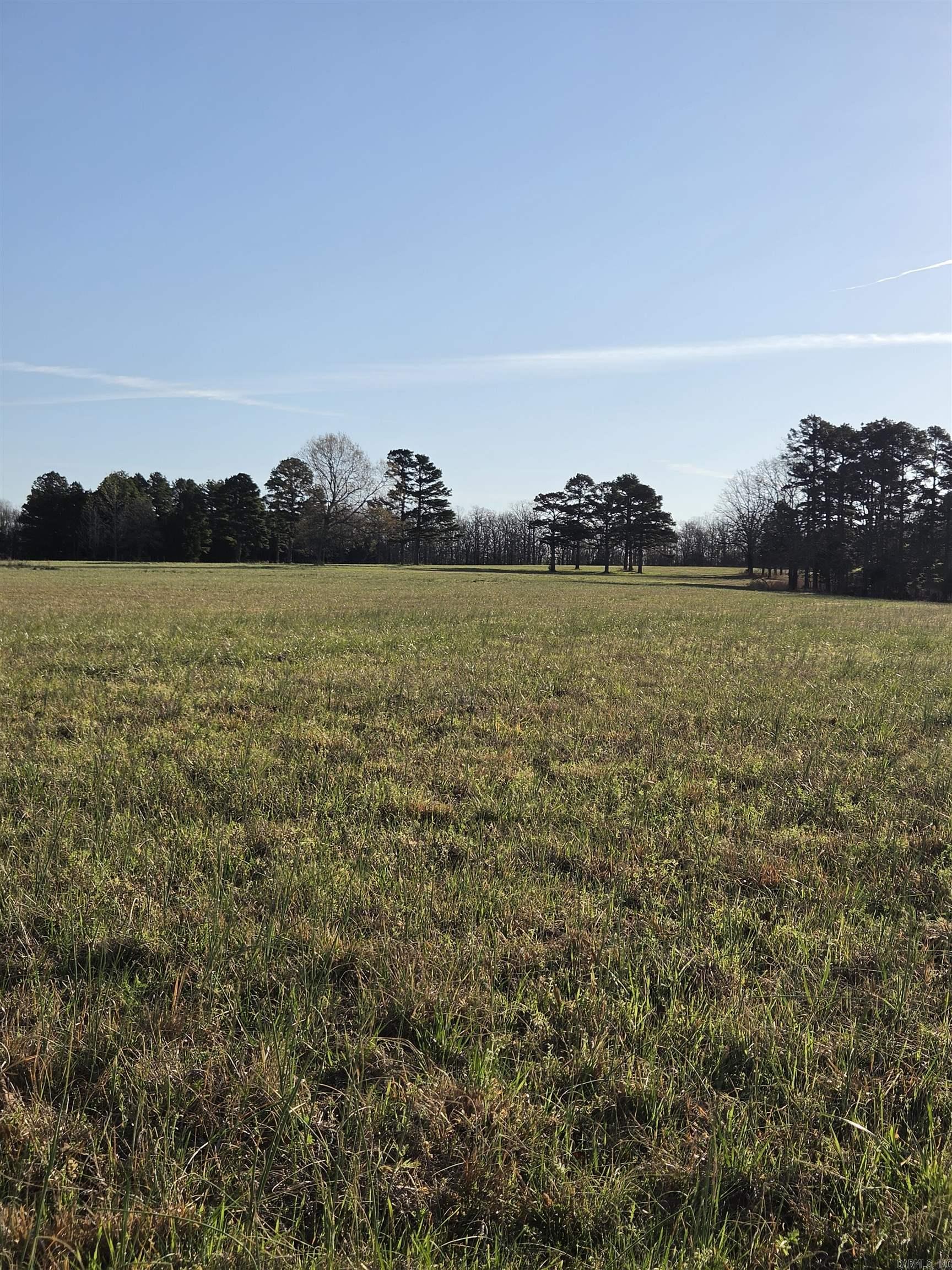 Photo 22 - Vacant Land for sale – 000  Thida   Thida, AR