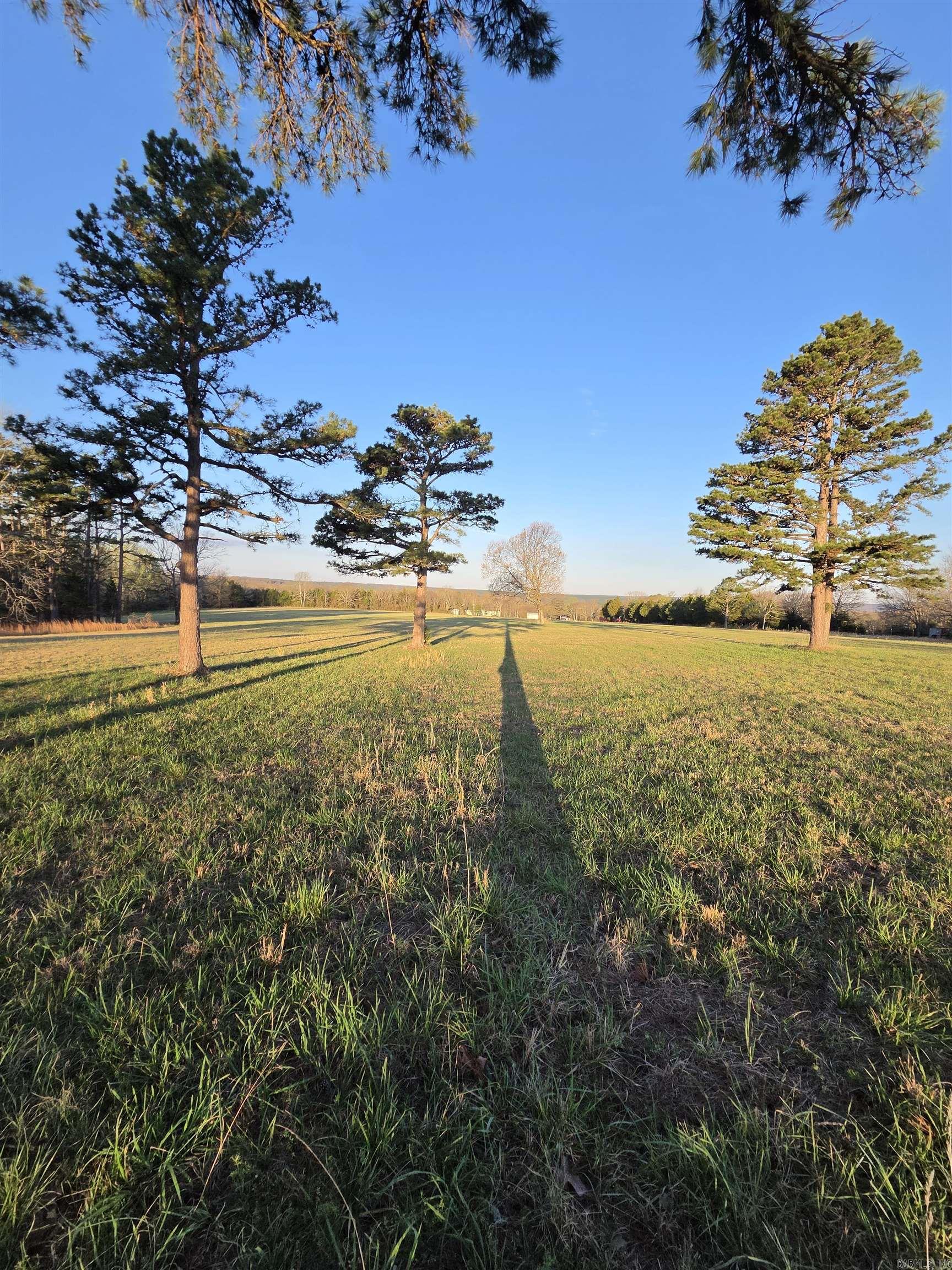 Photo 23 - Vacant Land for sale – 000  Thida   Thida, AR