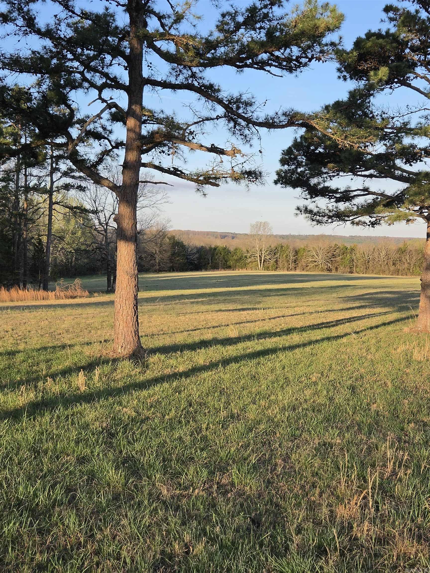 Photo 24 - Vacant Land for sale – 000  Thida   Thida, AR