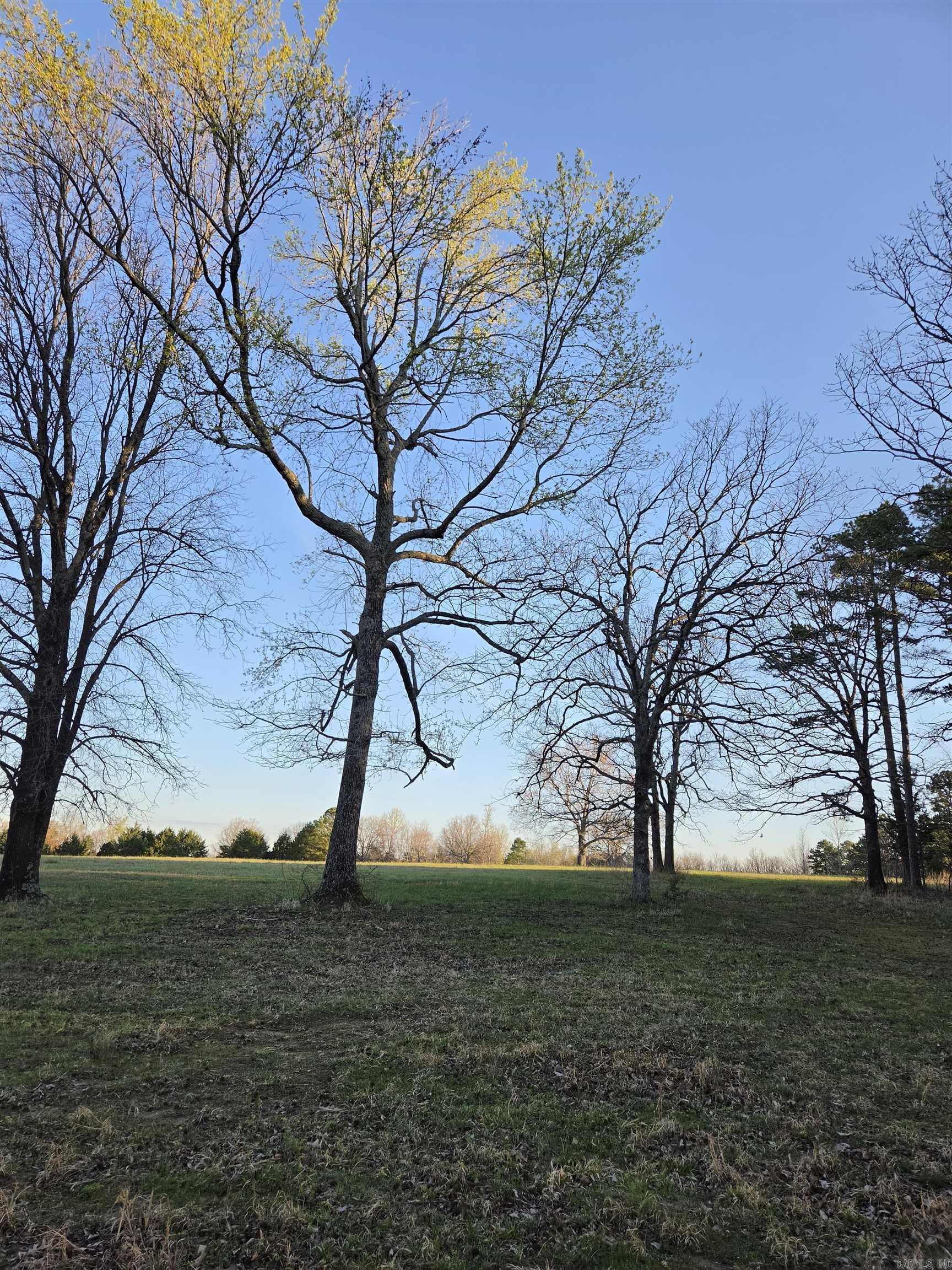 Photo 25 - Vacant Land for sale – 000  Thida   Thida, AR