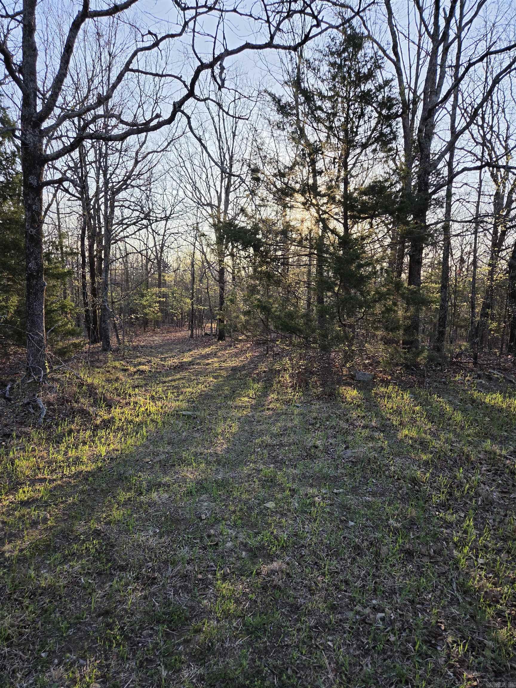 Photo 28 - Vacant Land for sale – 000  Thida   Thida, AR