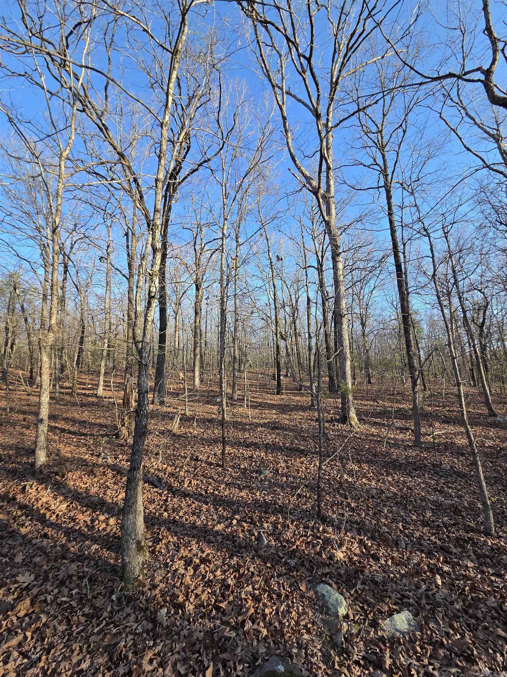 Photo 29 - Vacant Land for sale – 000  Thida   Thida, AR