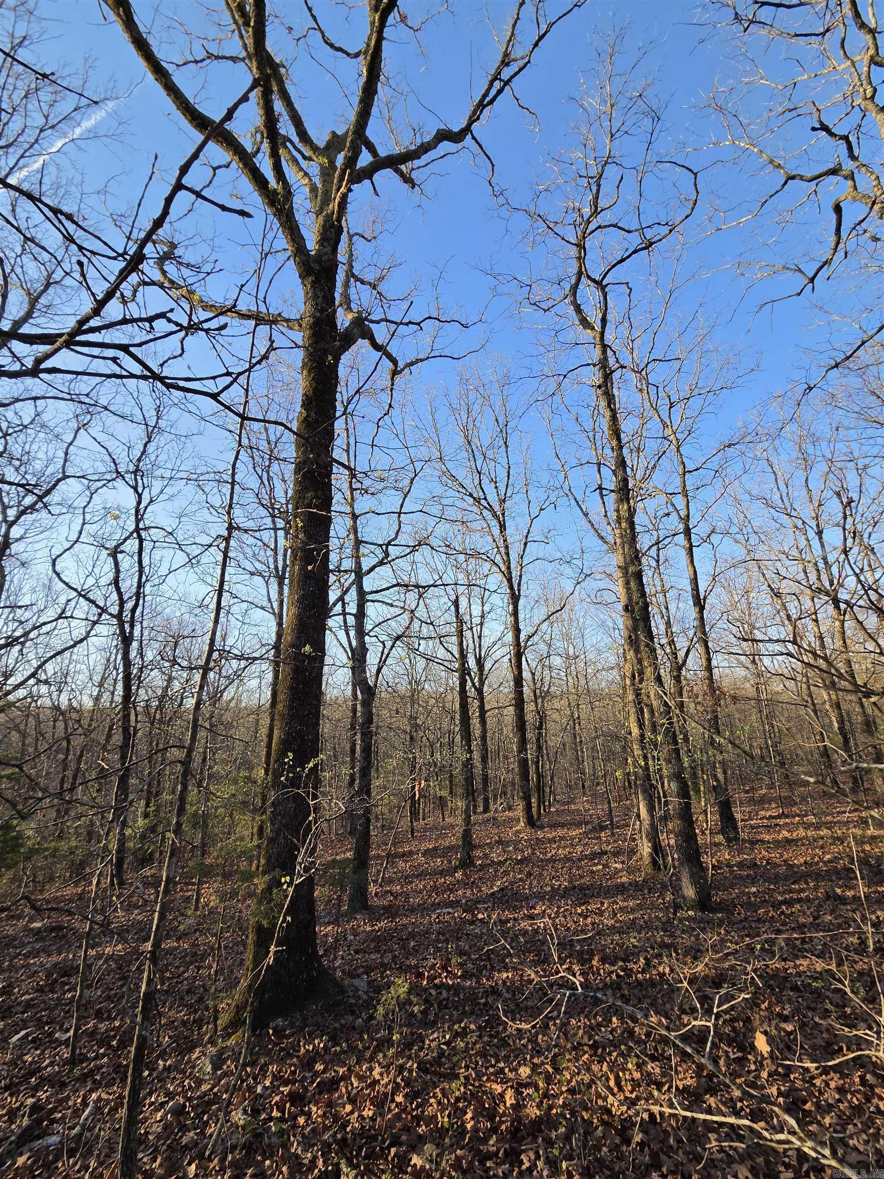 Photo 31 - Vacant Land for sale – 000  Thida   Thida, AR