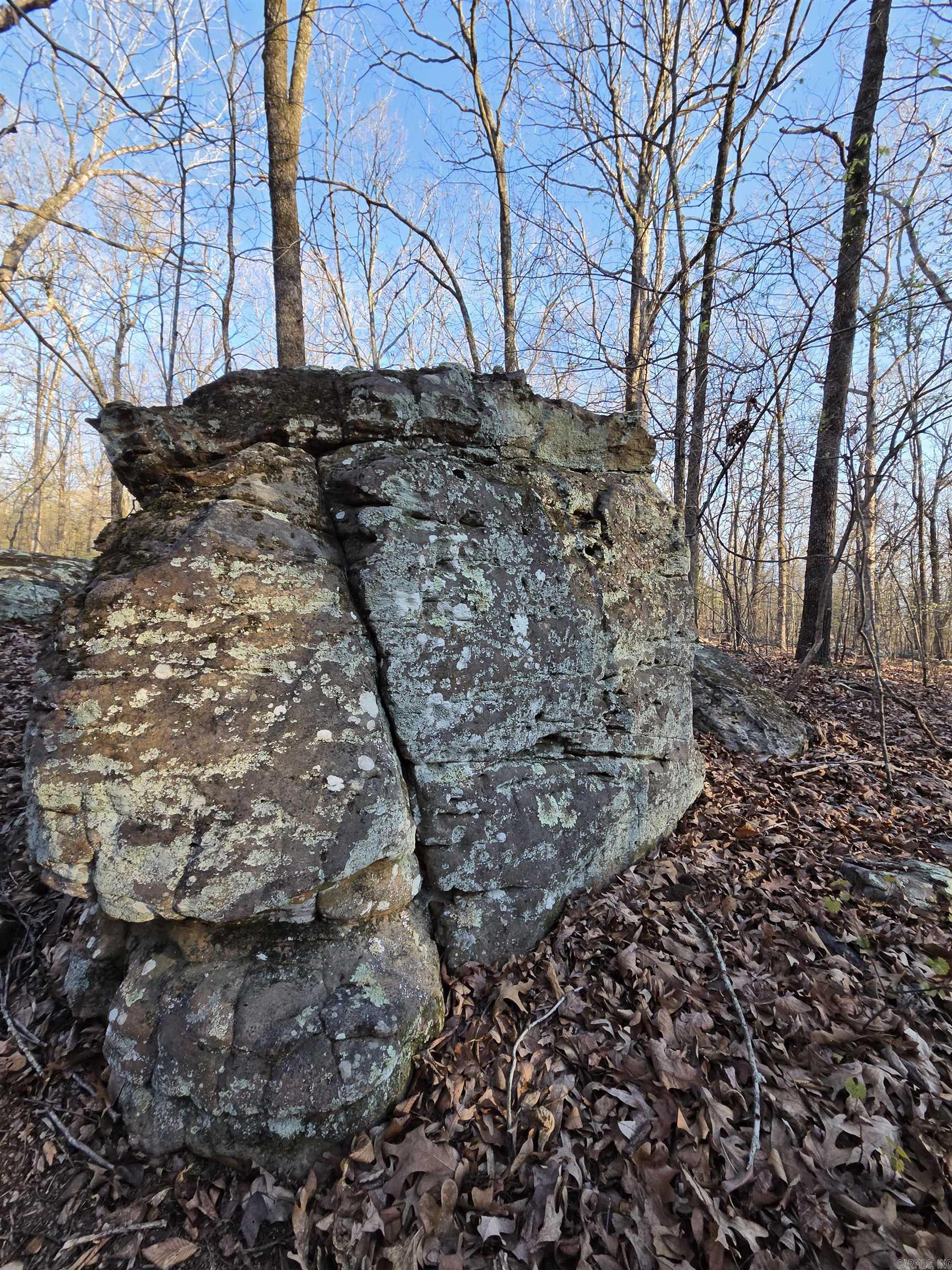 Photo 32 - Vacant Land for sale – 000  Thida   Thida, AR