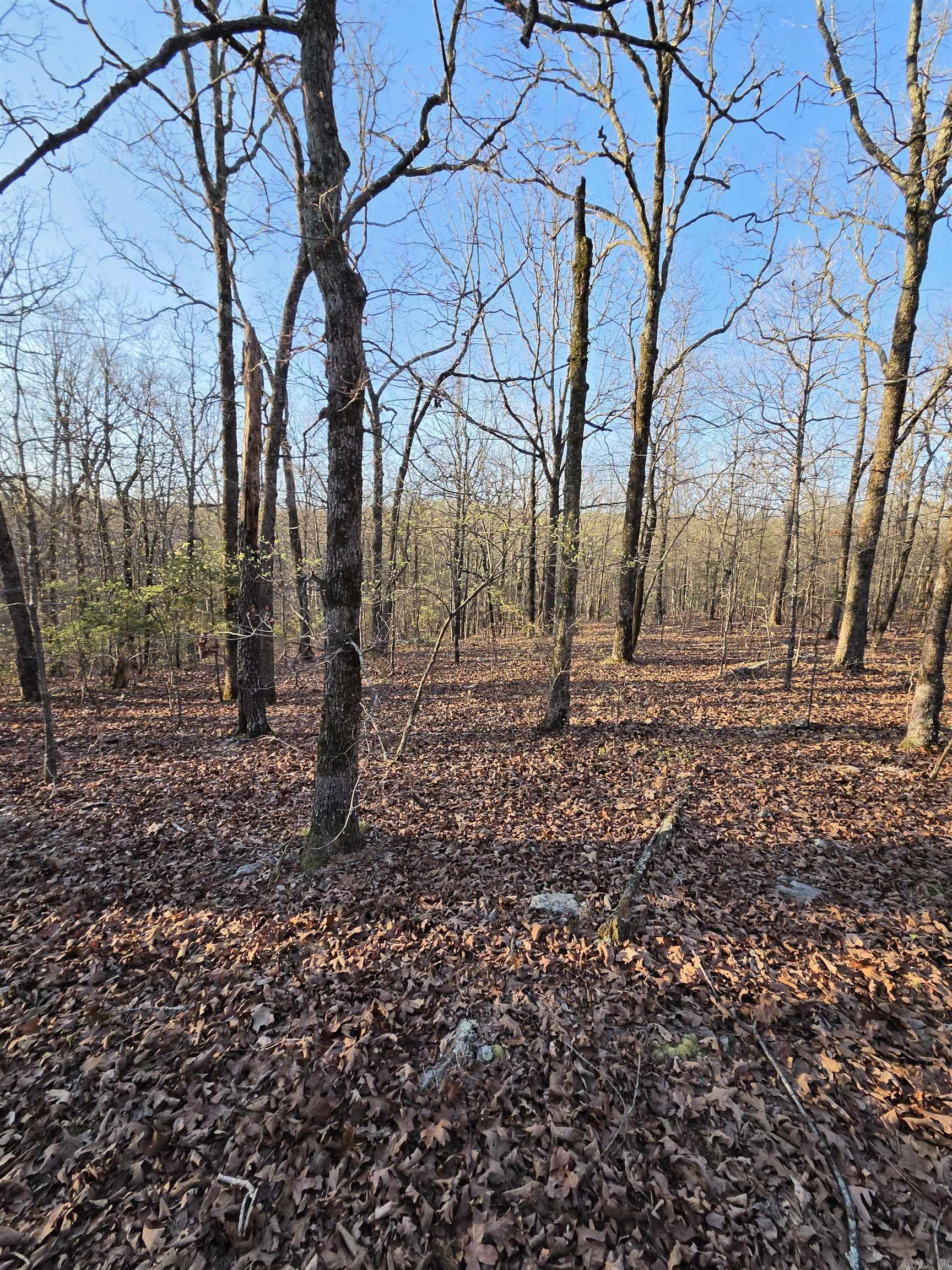 Photo 34 - Vacant Land for sale – 000  Thida   Thida, AR