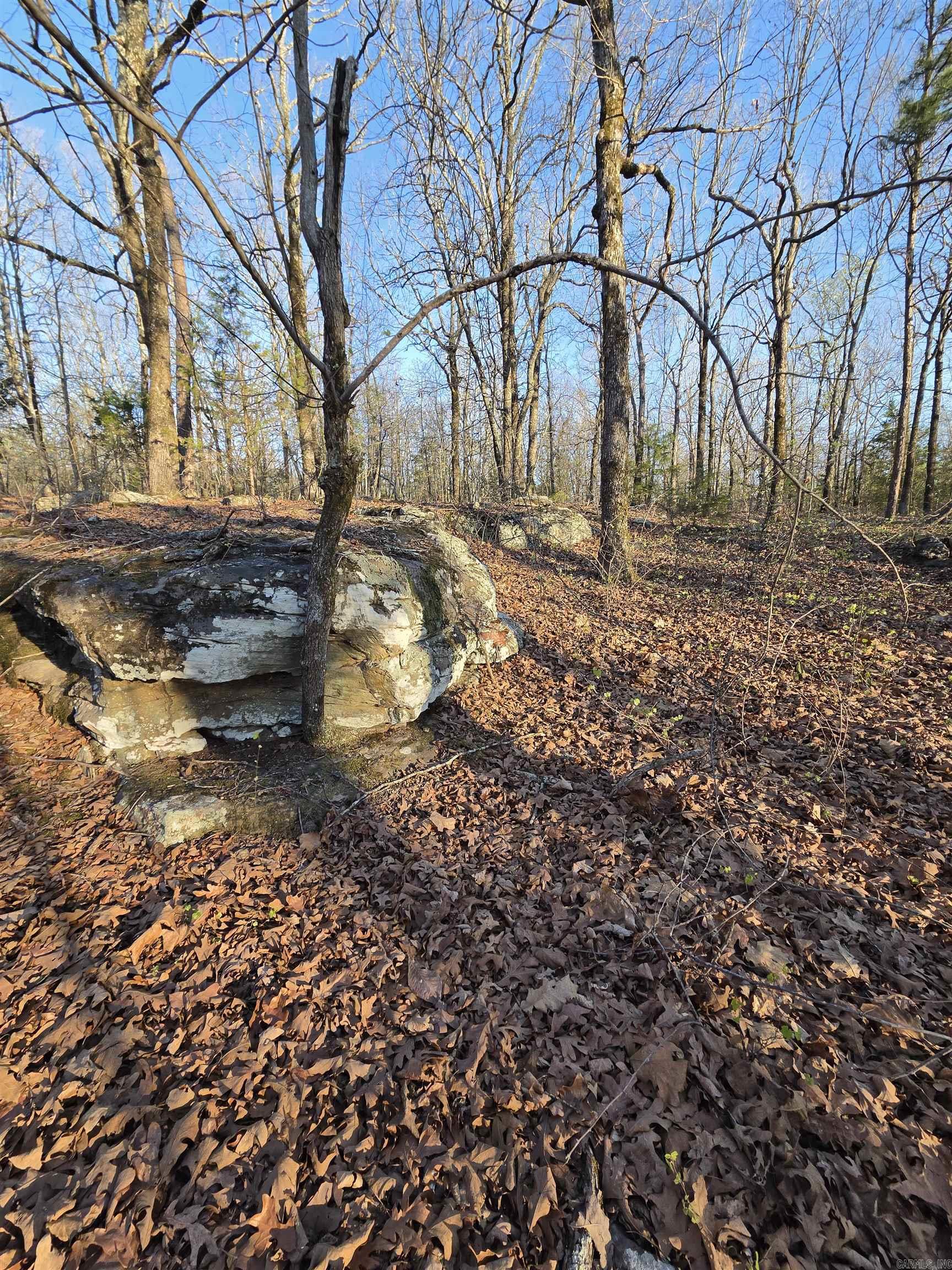 Photo 35 - Vacant Land for sale – 000  Thida   Thida, AR