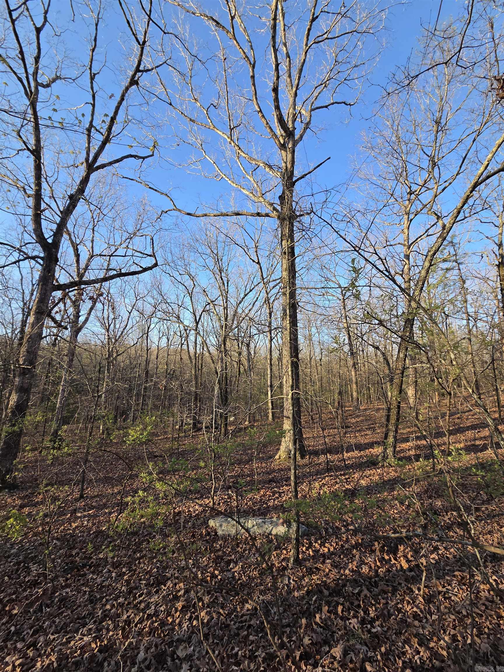 Photo 36 - Vacant Land for sale – 000  Thida   Thida, AR