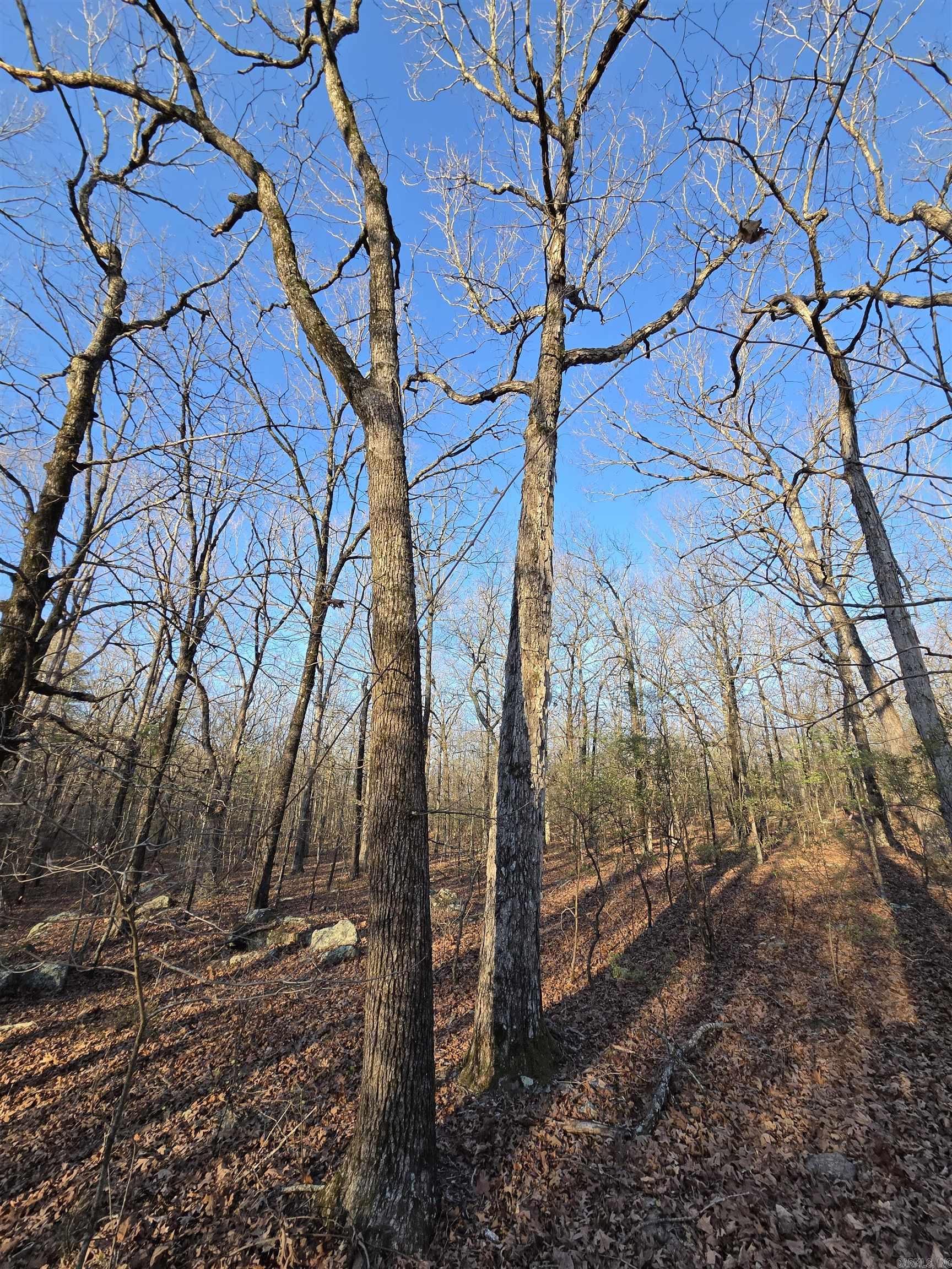 Photo 37 - Vacant Land for sale – 000  Thida   Thida, AR