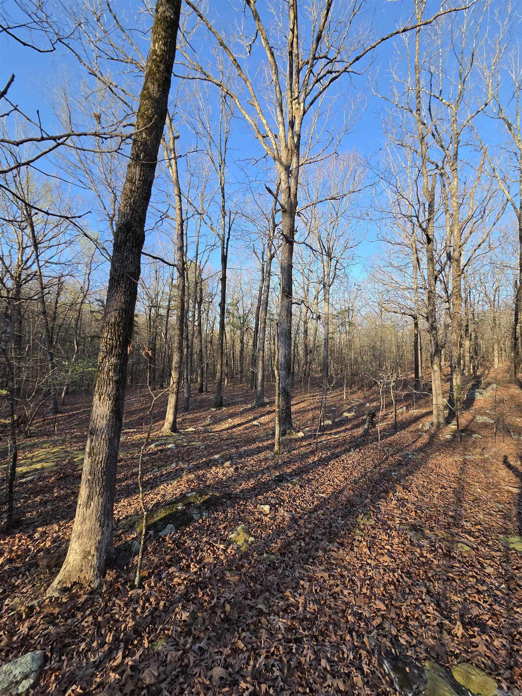 Photo 38 - Vacant Land for sale – 000  Thida   Thida, AR