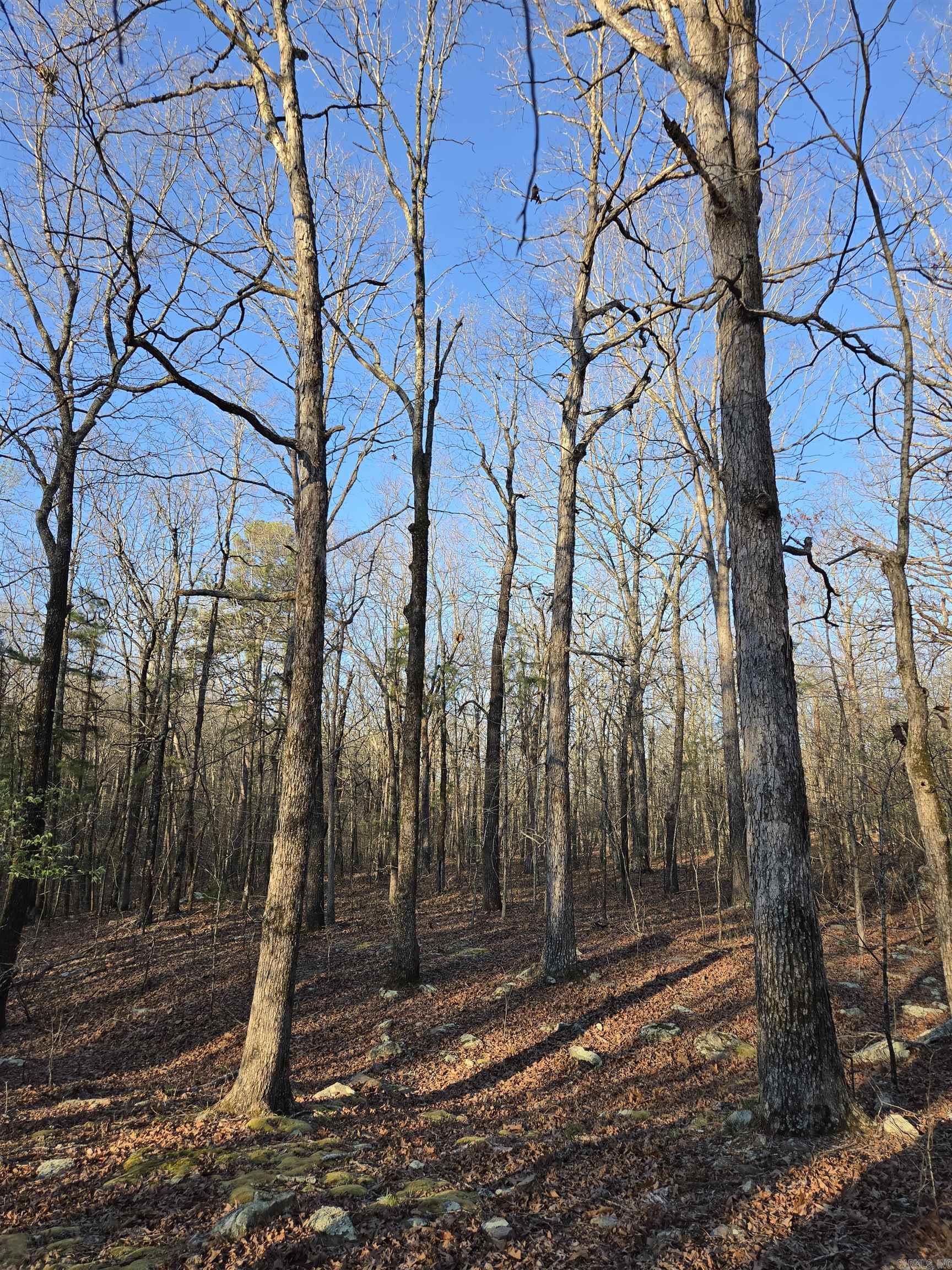 Photo 39 - Vacant Land for sale – 000  Thida   Thida, AR