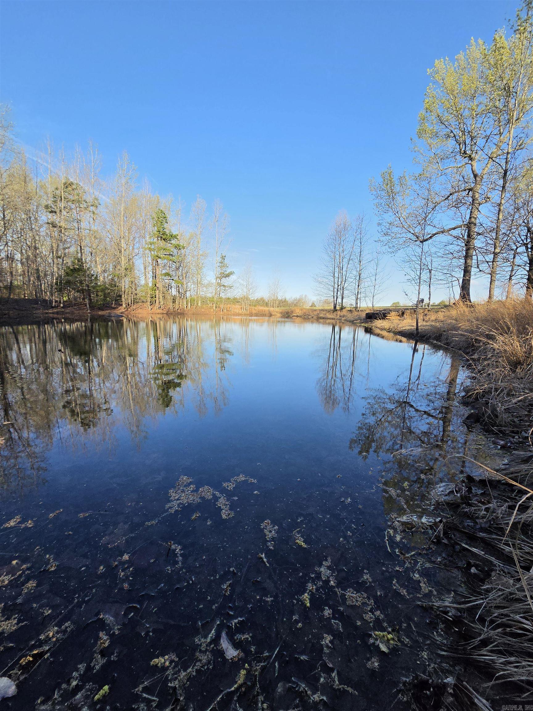 Photo 5 - Vacant Land for sale – 000  Thida   Thida, AR