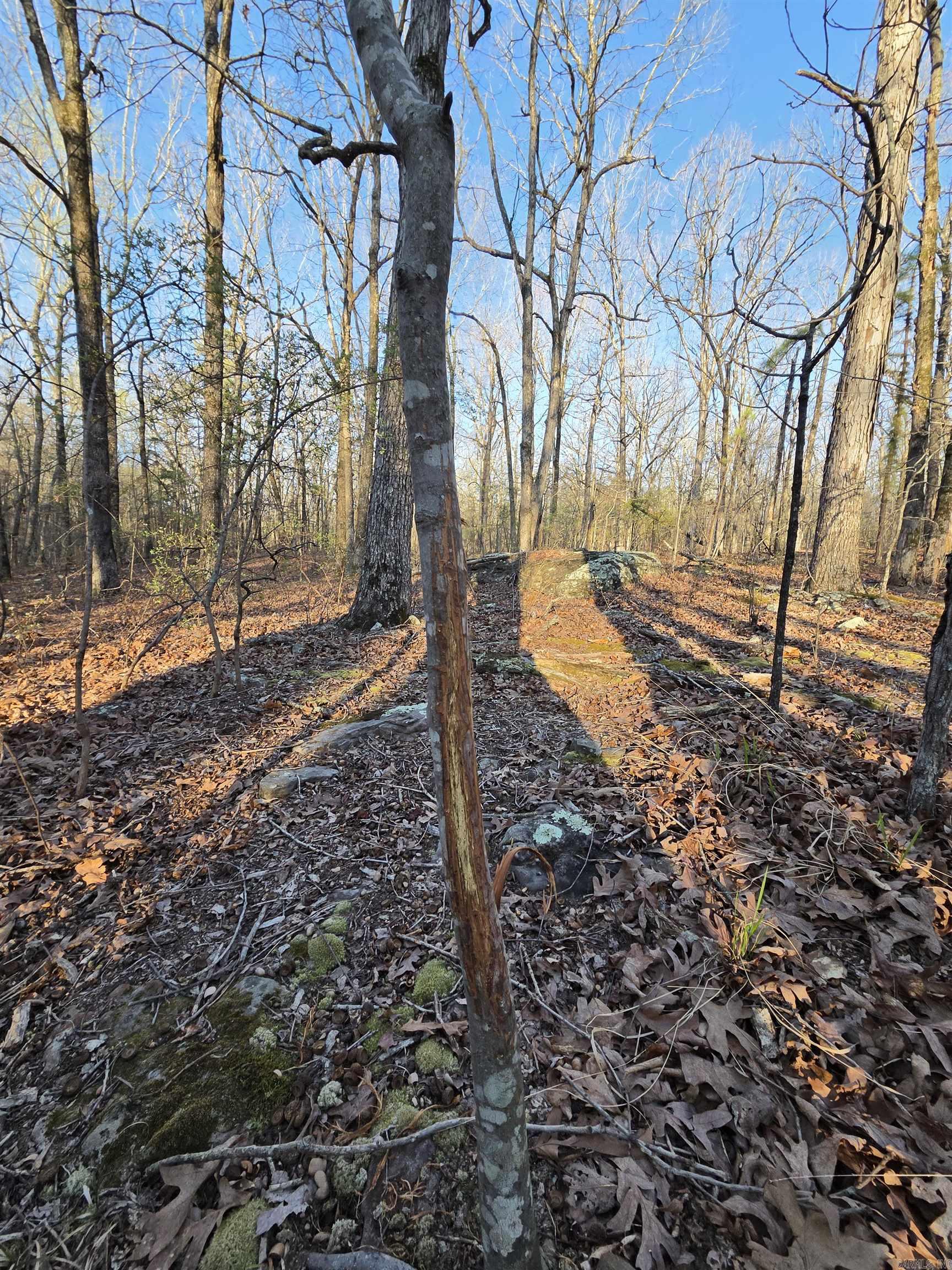 Photo 40 - Vacant Land for sale – 000  Thida   Thida, AR