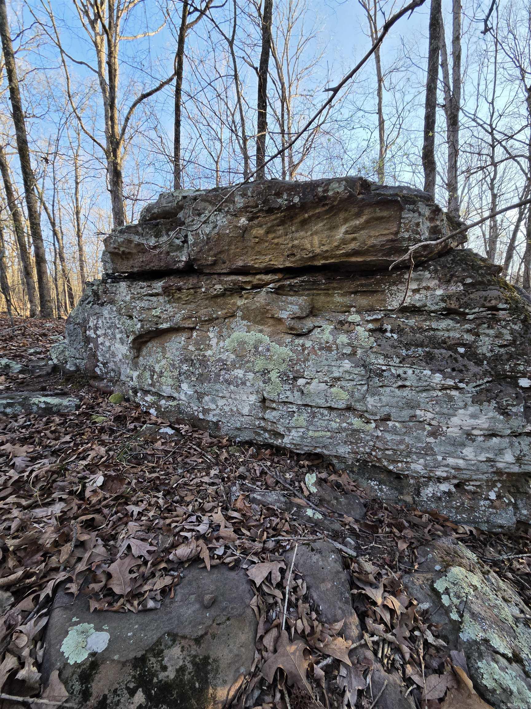 Photo 42 - Vacant Land for sale – 000  Thida   Thida, AR