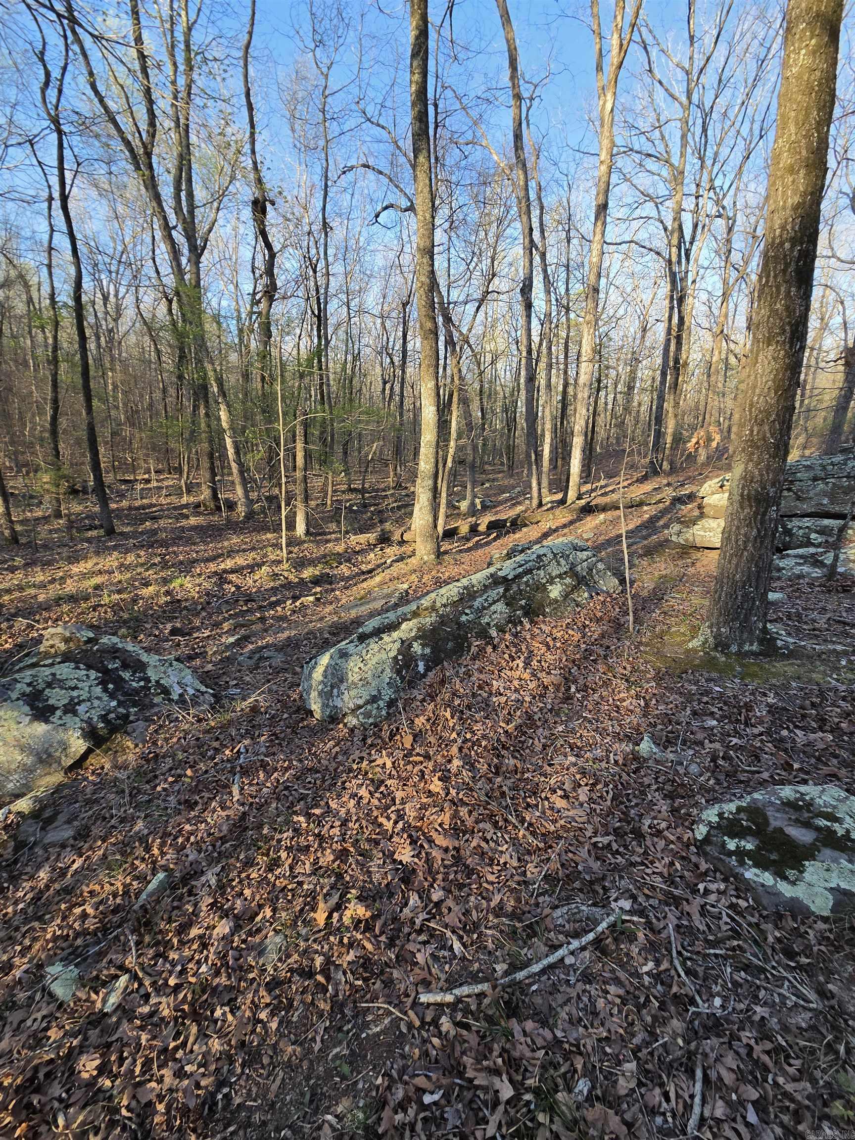 Photo 43 - Vacant Land for sale – 000  Thida   Thida, AR