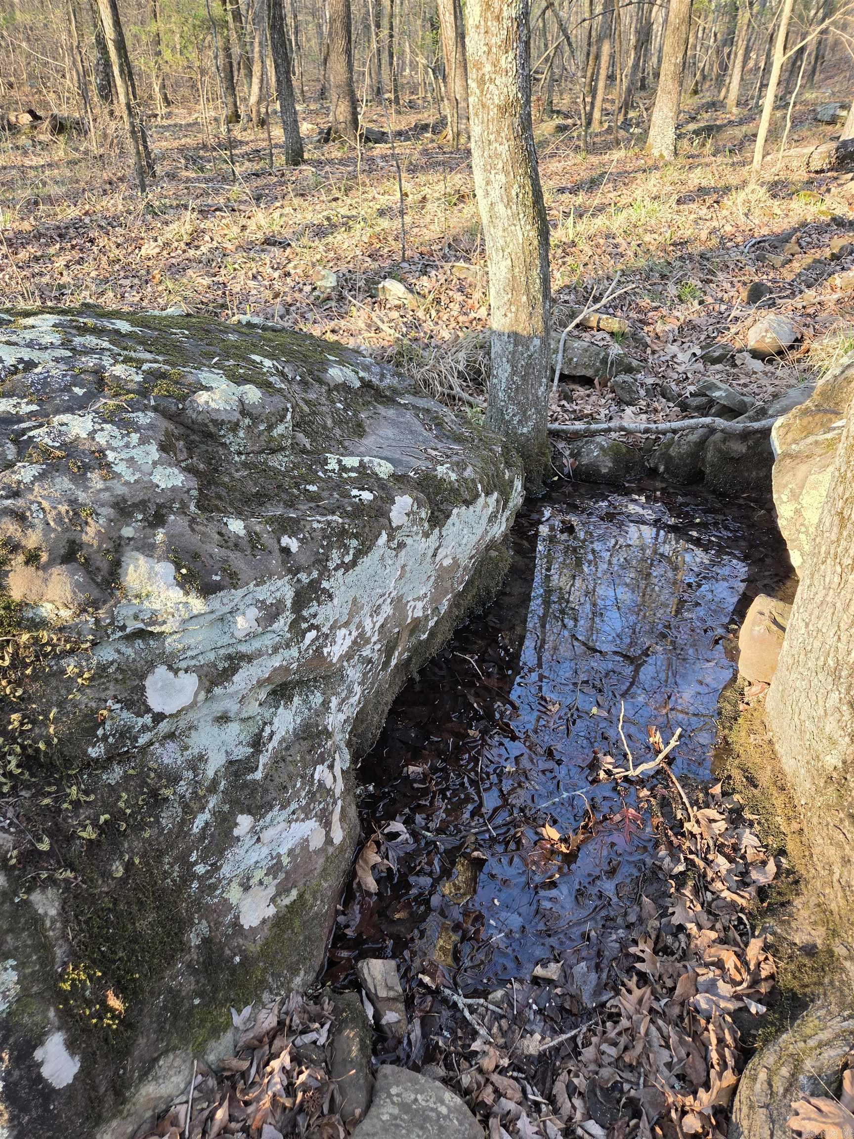 Photo 44 - Vacant Land for sale – 000  Thida   Thida, AR