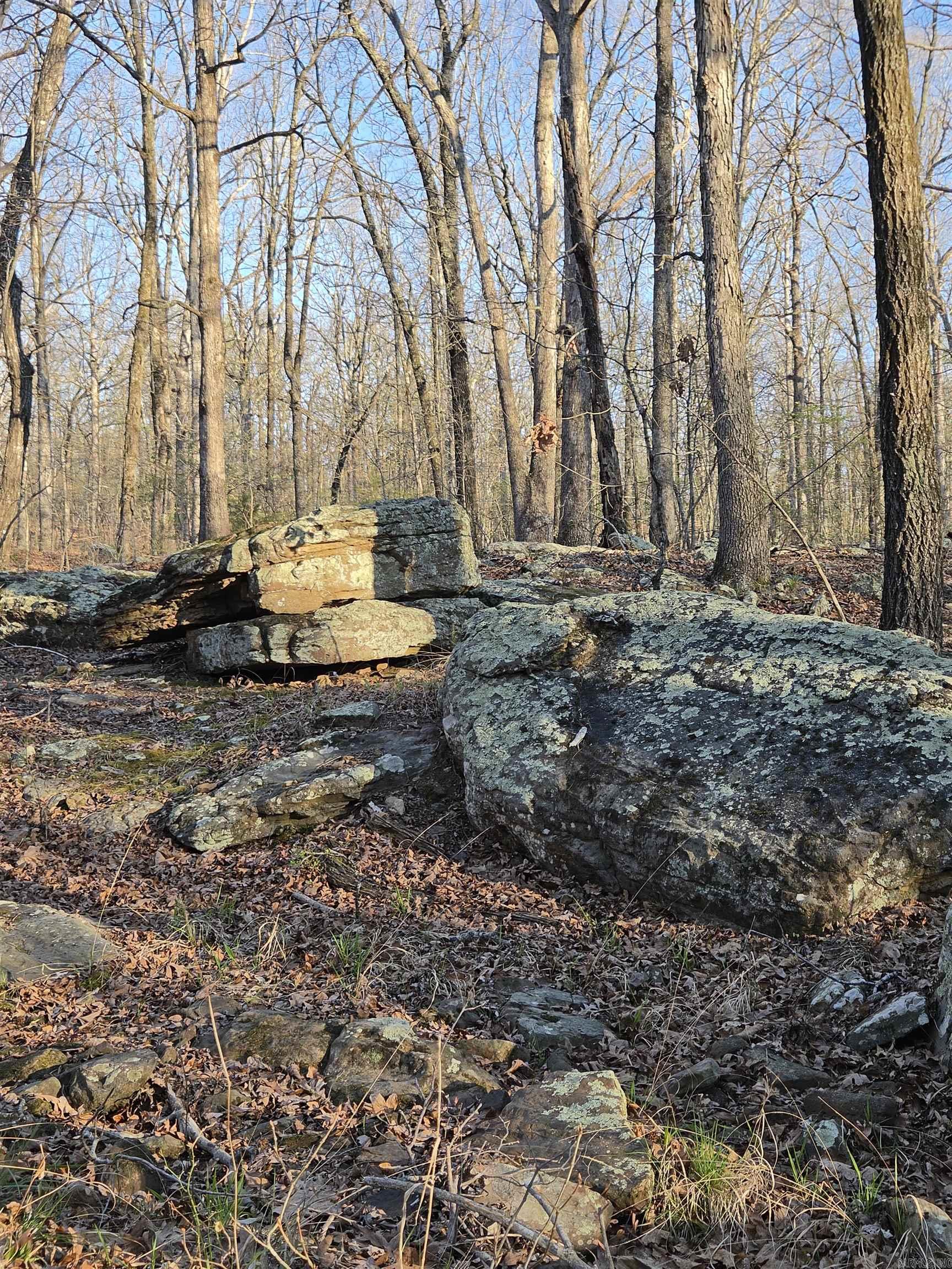 Photo 45 - Vacant Land for sale – 000  Thida   Thida, AR