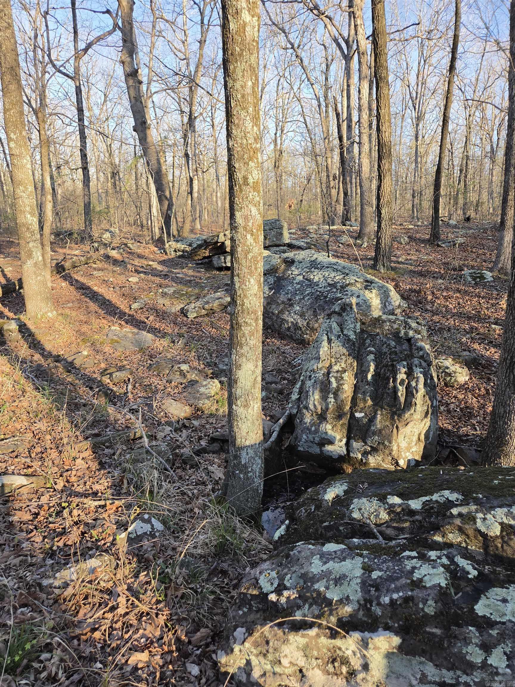 Photo 46 - Vacant Land for sale – 000  Thida   Thida, AR