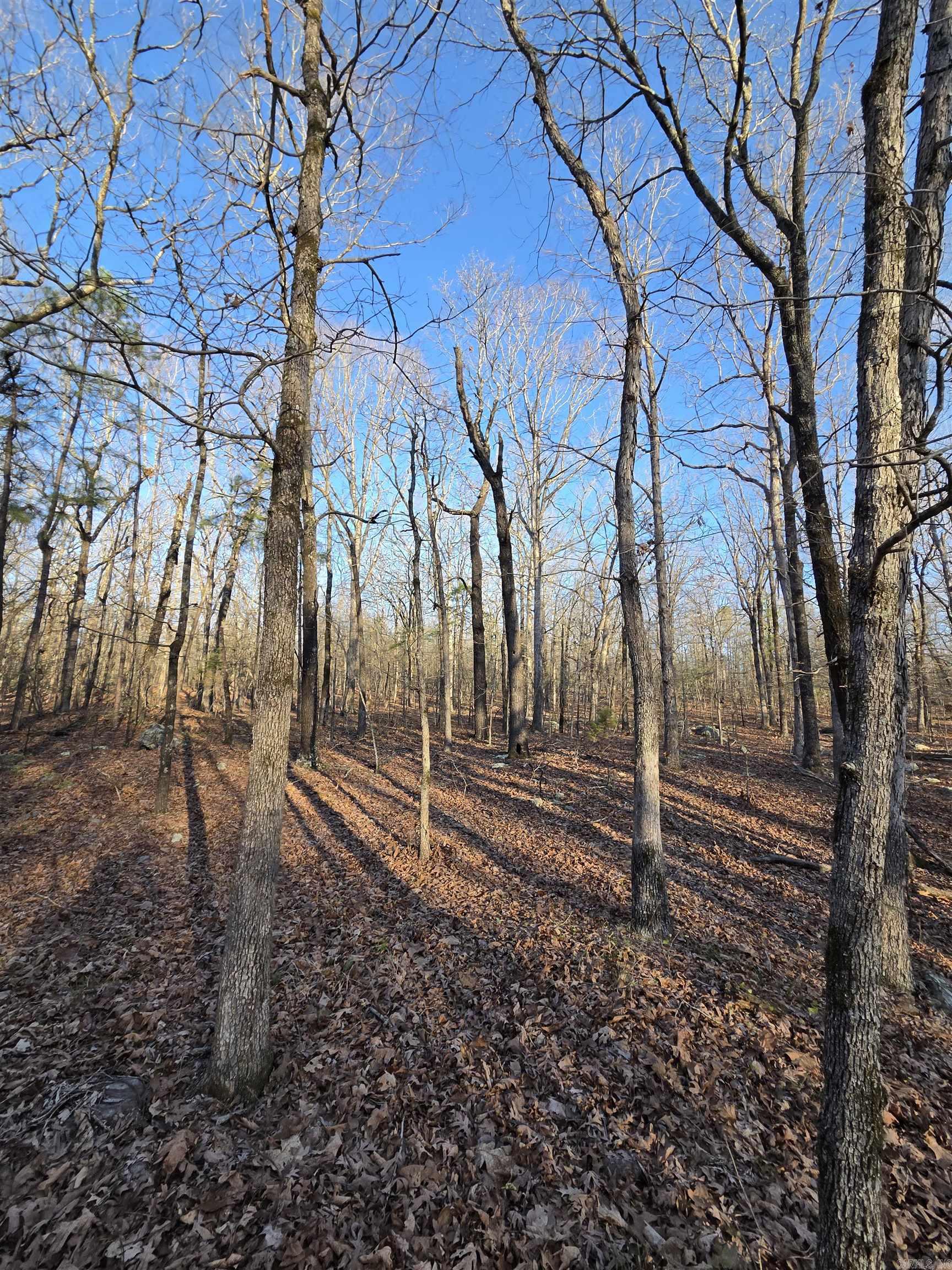 Photo 47 - Vacant Land for sale – 000  Thida   Thida, AR