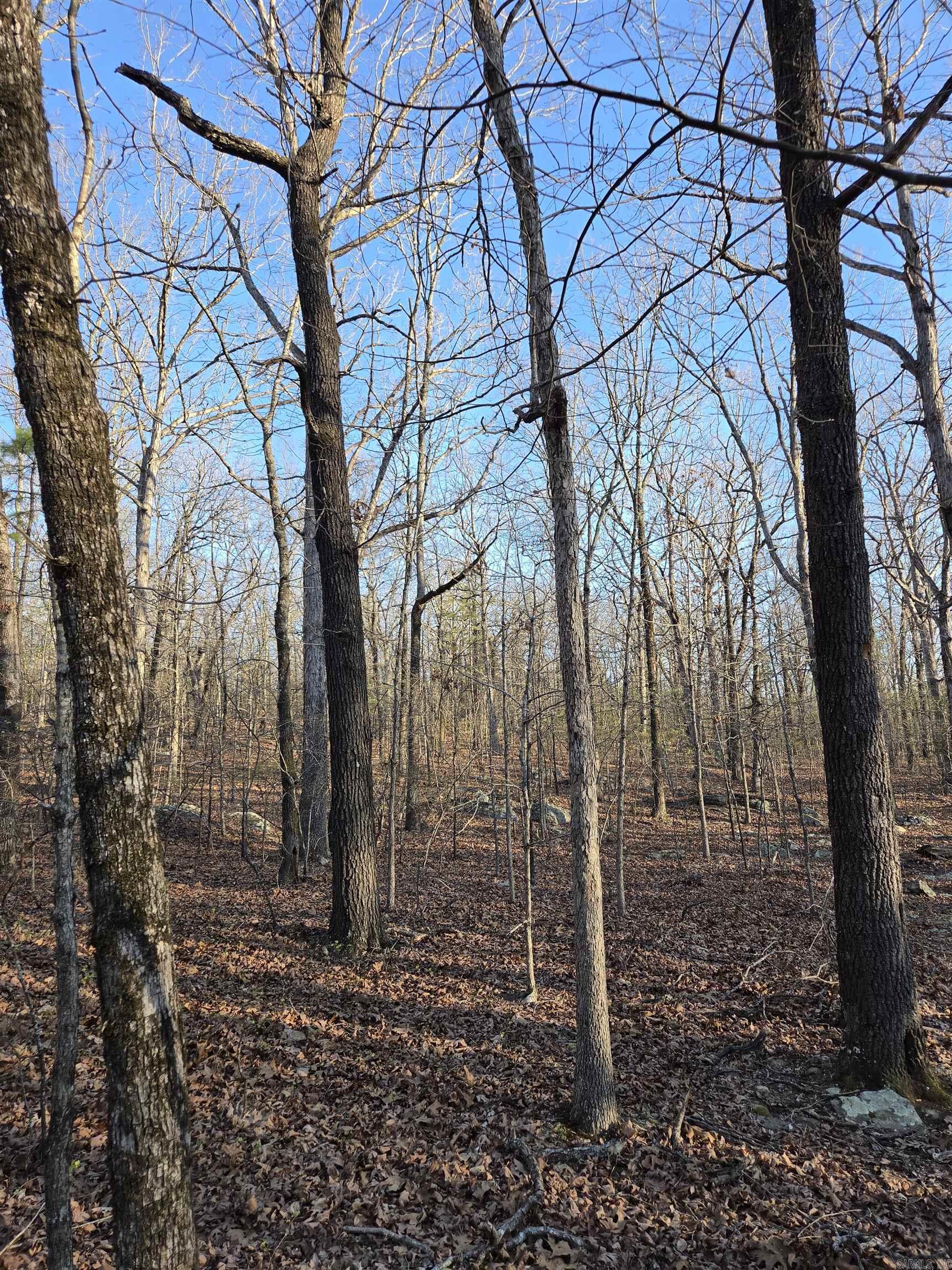 Photo 48 - Vacant Land for sale – 000  Thida   Thida, AR