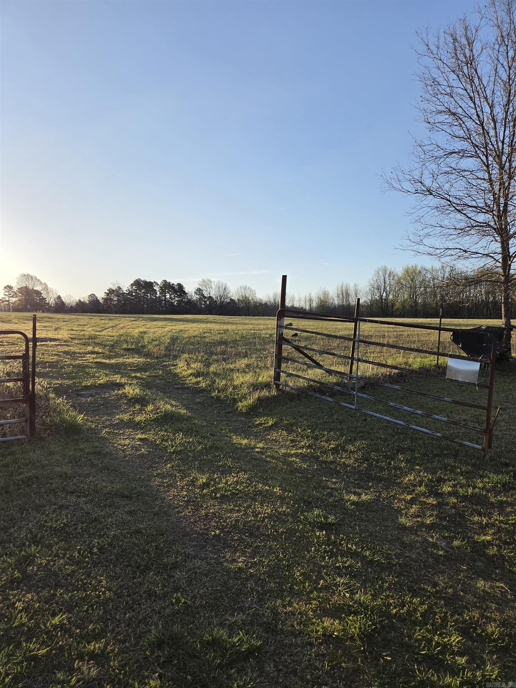 Photo 49 - Vacant Land for sale – 000  Thida   Thida, AR