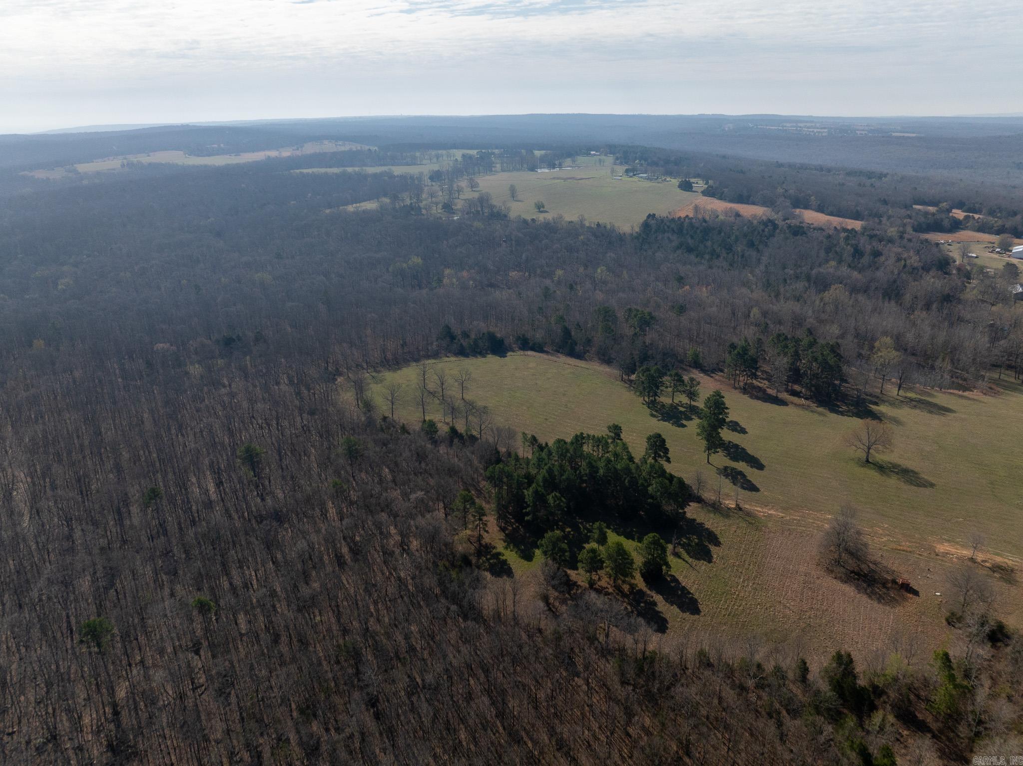 Photo 7 - Vacant Land for sale – 000  Thida   Thida, AR