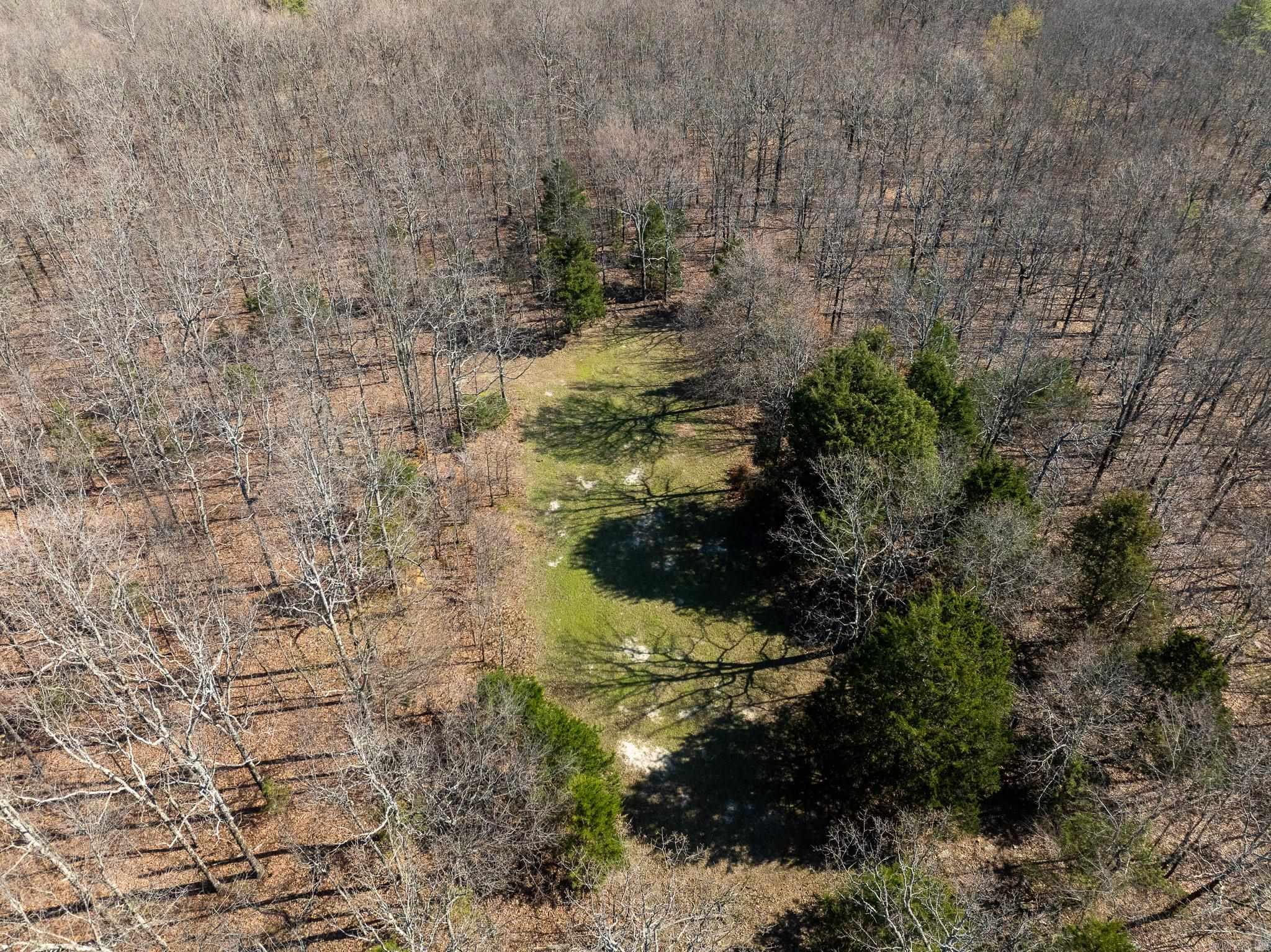 Photo 8 - Vacant Land for sale – 000  Thida   Thida, AR