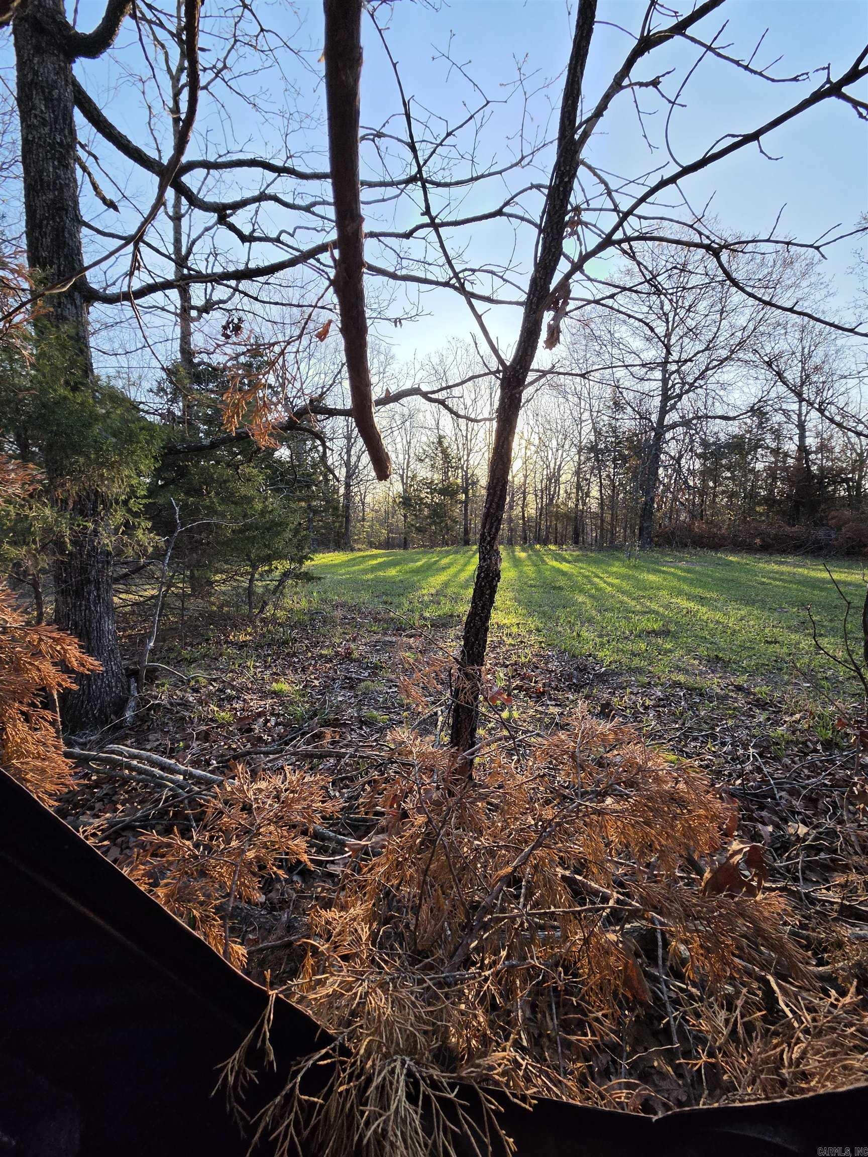 Photo 10 - Vacant Land for sale – 000  Thida   Thida, AR