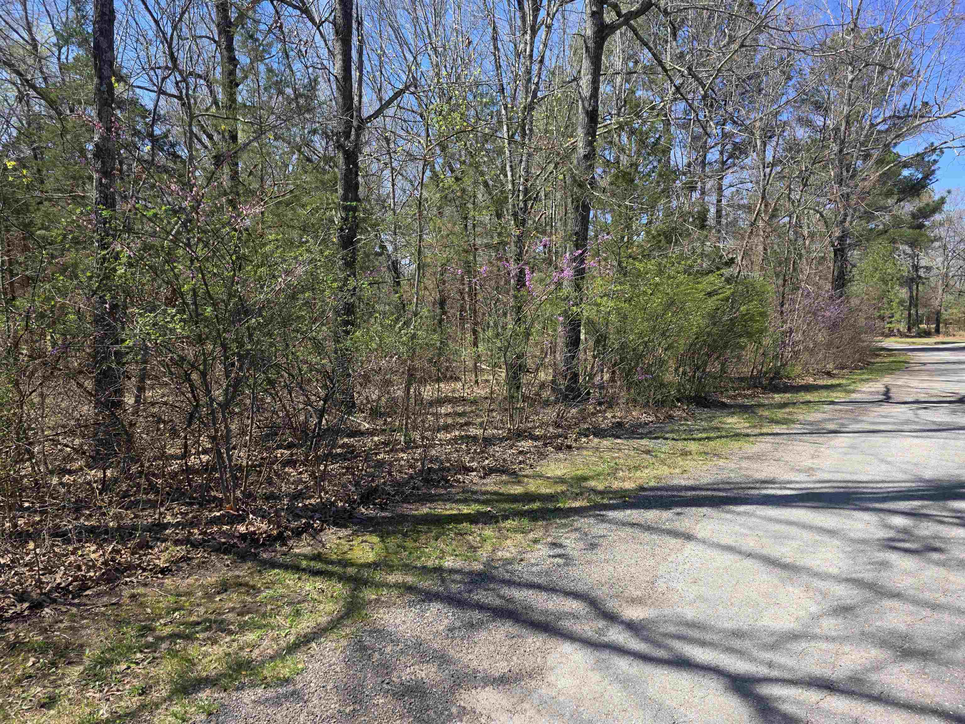 Vacant Land for sale – L-22 B-10  Nameoki   Cherokee Village, AR