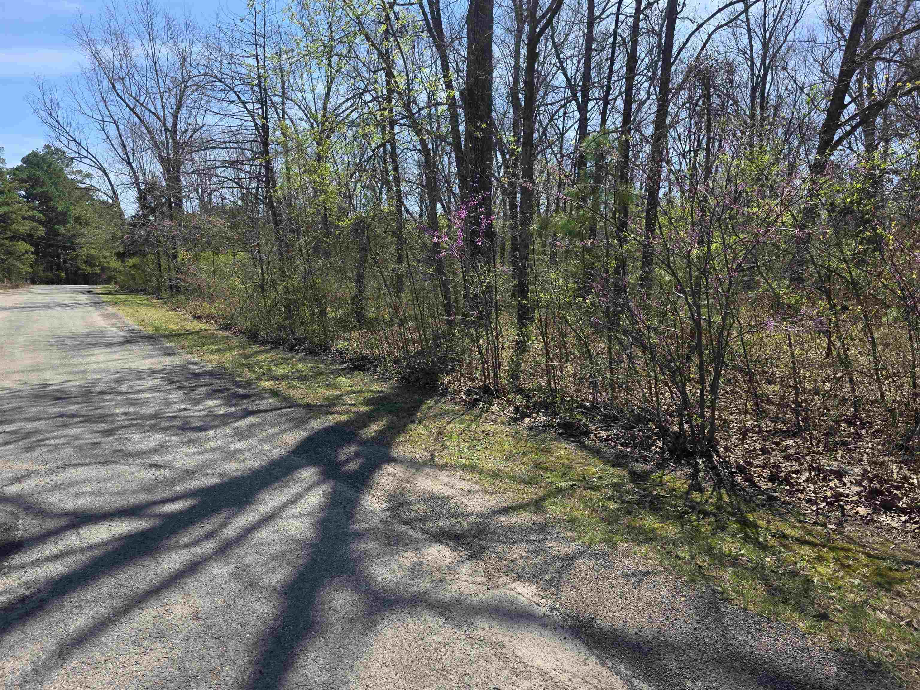 Photo 2 - Vacant Land for sale – L-22 B-10  Nameoki   Cherokee Village, AR