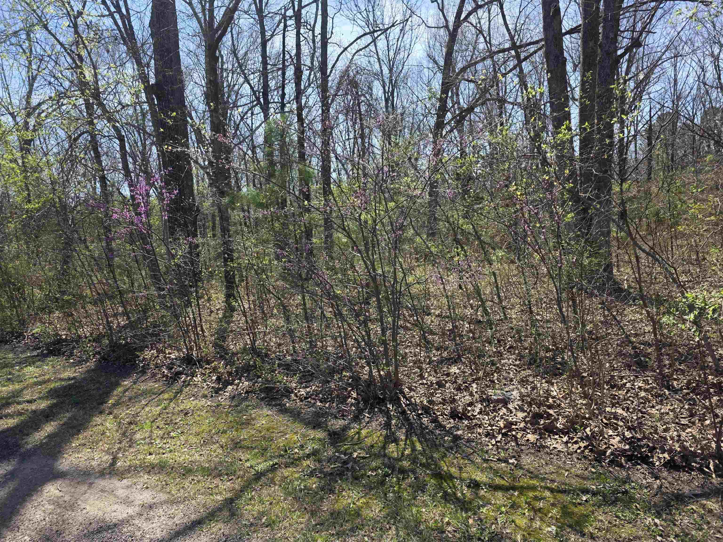Photo 11 - Vacant Land for sale – L-22 B-10  Nameoki   Cherokee Village, AR