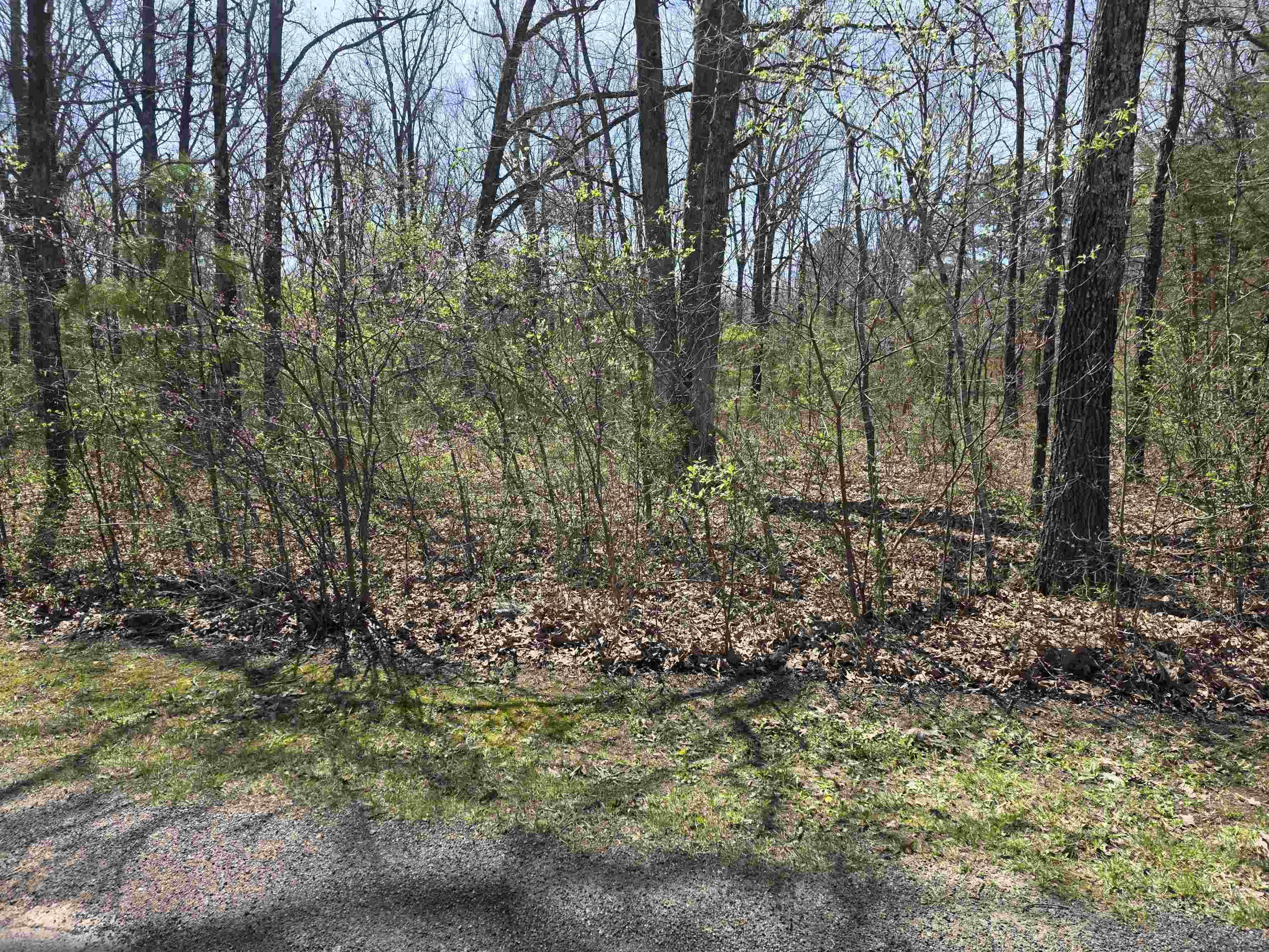Photo 3 - Vacant Land for sale – L-22 B-10  Nameoki   Cherokee Village, AR