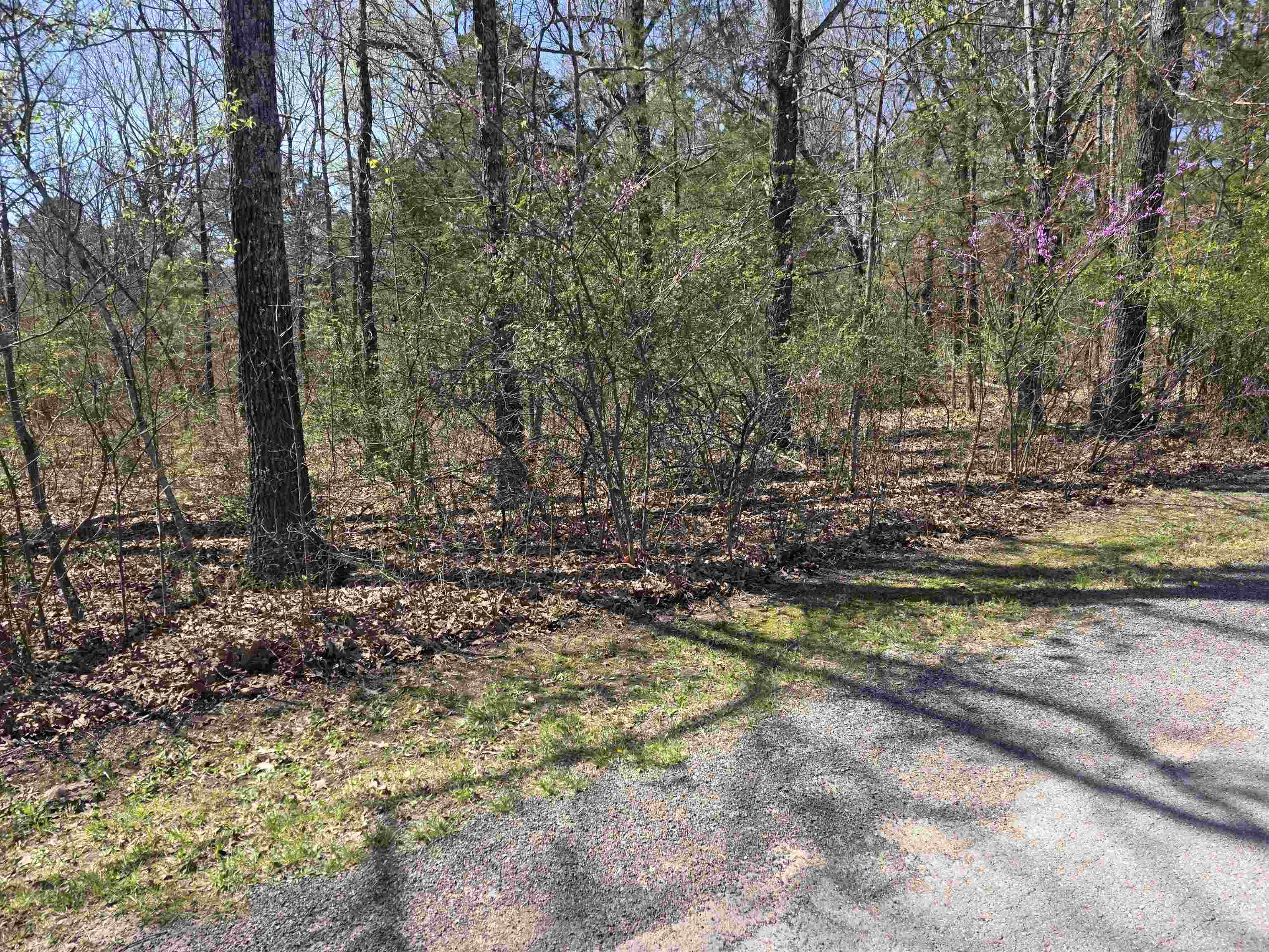 Photo 4 - Vacant Land for sale – L-22 B-10  Nameoki   Cherokee Village, AR